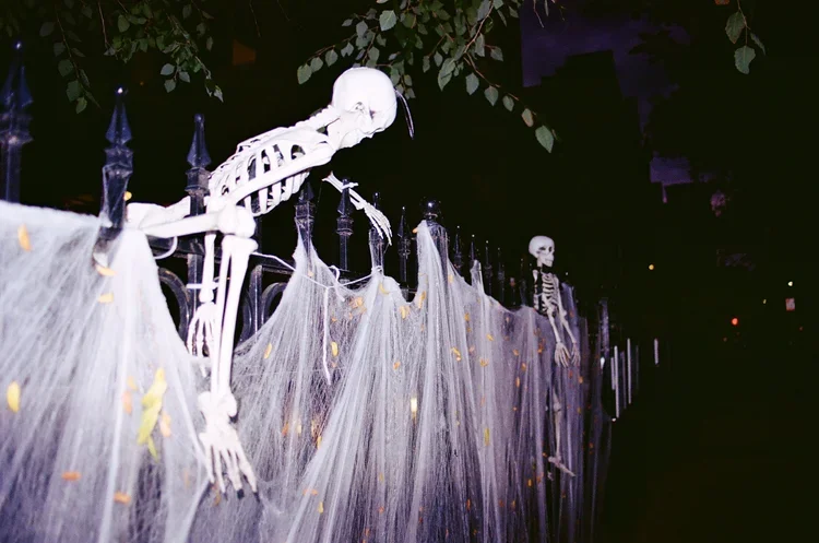 Halloween decorations featuring skeletons draped with fake spider webs on a black fence, with dark trees and night sky in the background.