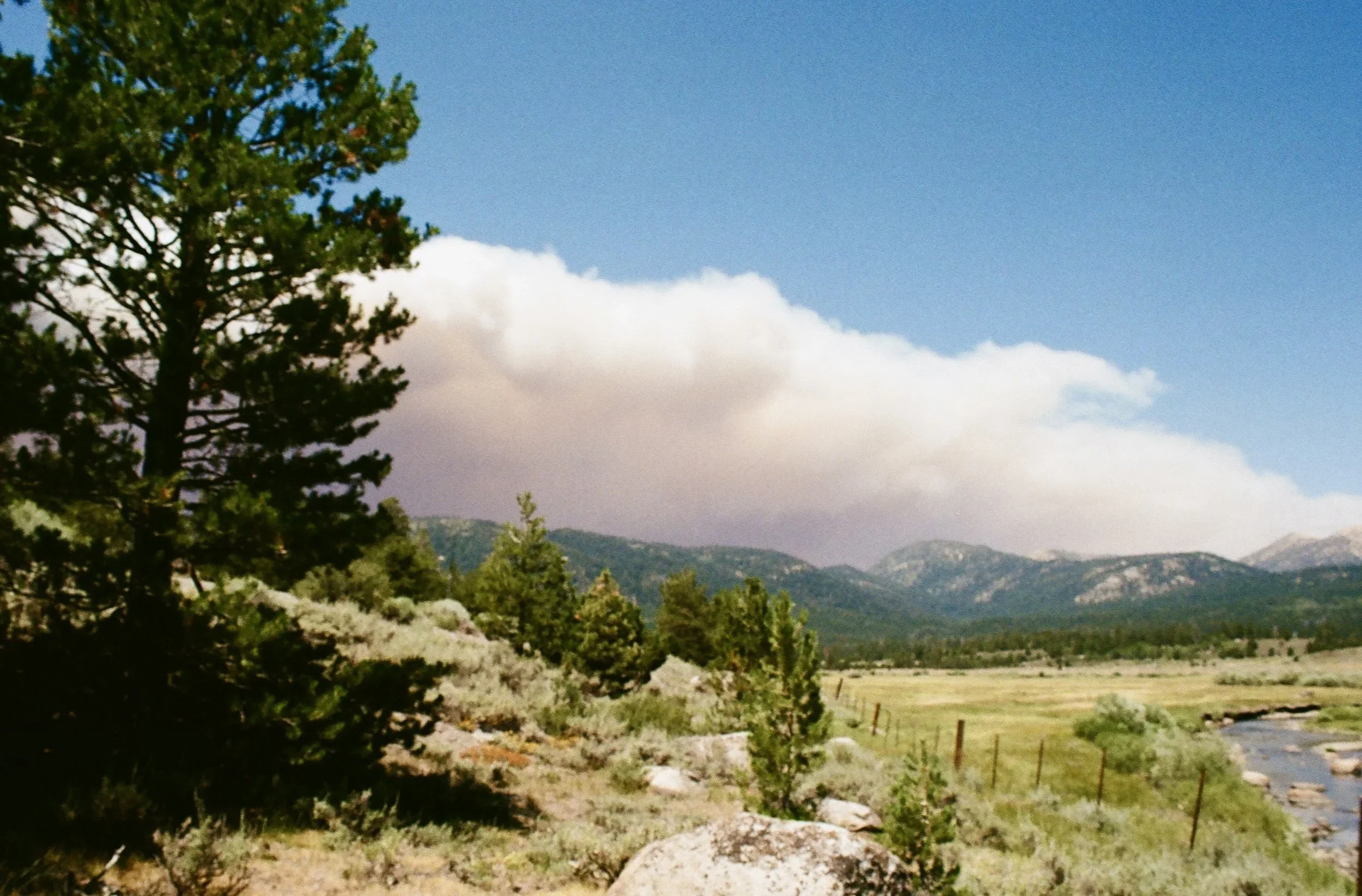 Landscape scene featuring a large green pine tree on the left, rocky terrain, distant mountain range, and a partly cloudy sky.