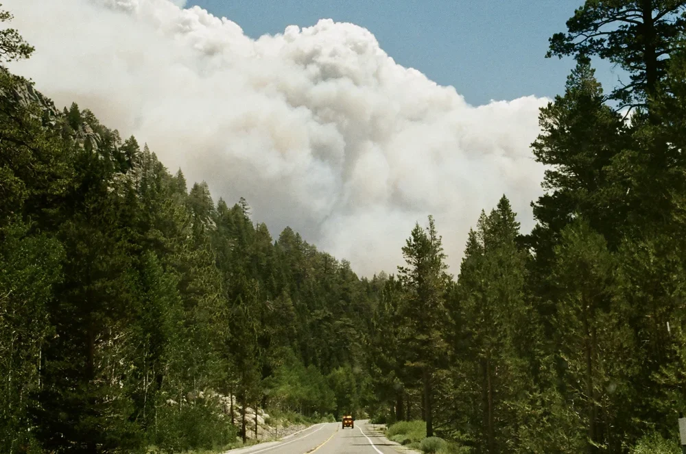 A forested mountain road with tall green trees on both sides and a vehicle driving away, under blue sky with white clouds and a smoke plume in the sky.