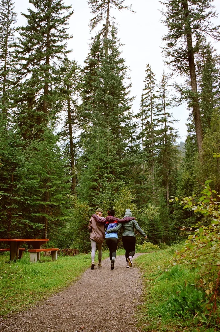 Three people walking on a forest trail, with tall evergreen trees surrounding them, and a park bench on the side.