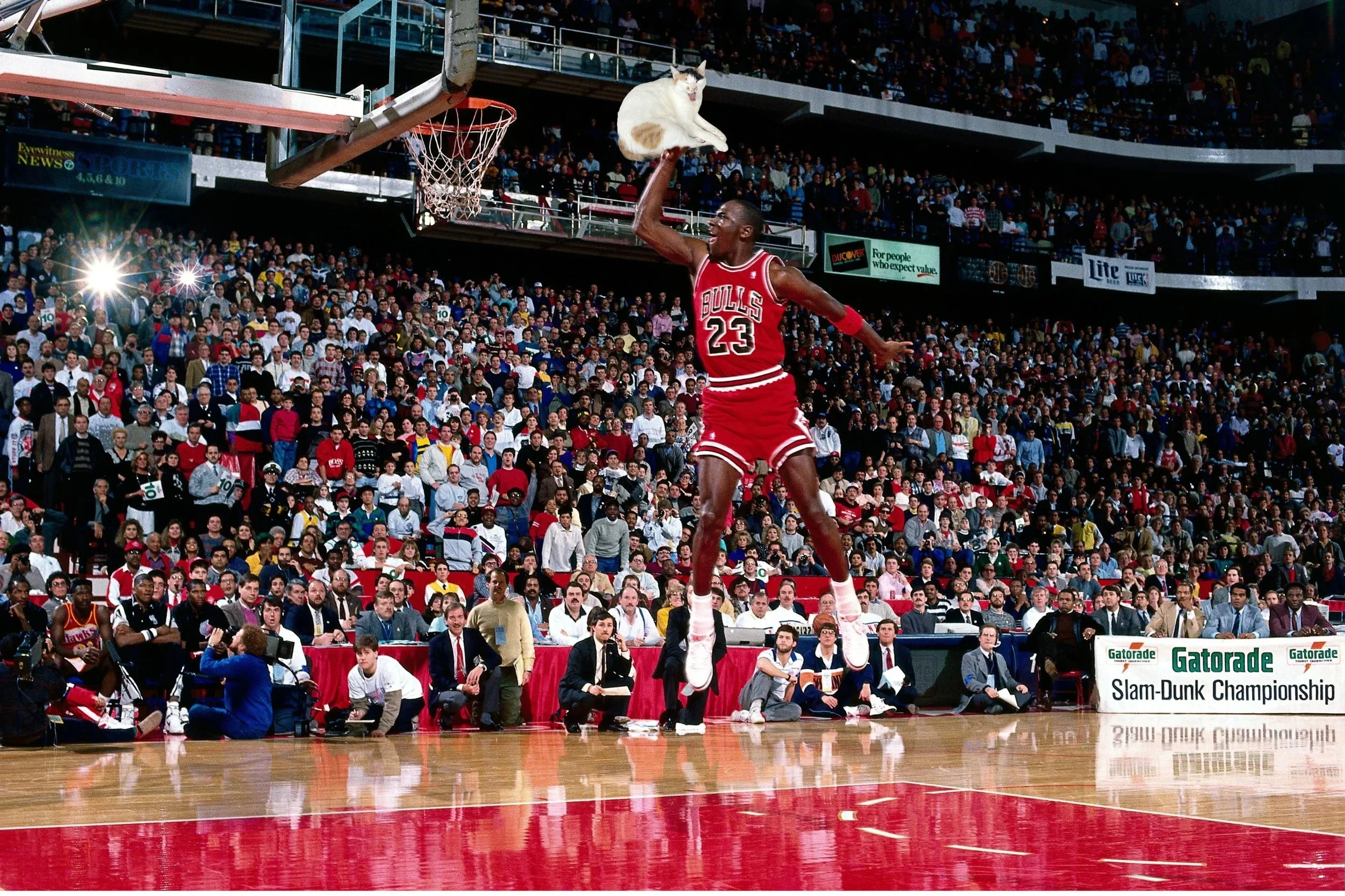 A basketball player wearing a red Chicago Bulls jersey with the number 23, performing a slam dunk during a game in a packed arena. There is a cat seemingly flying above the player, with its fur white and with patches of beige and black, the cat is mid-air with its mouth open, surrounded by an audience watching intently.