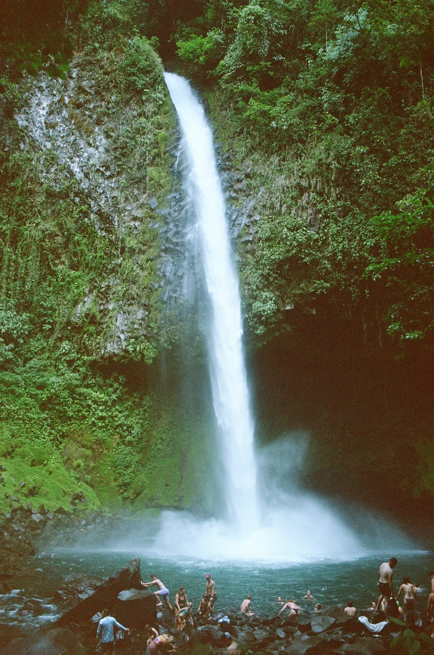 People swimming and relaxing in a pool at the base of a tall, lush green waterfall in a forest.