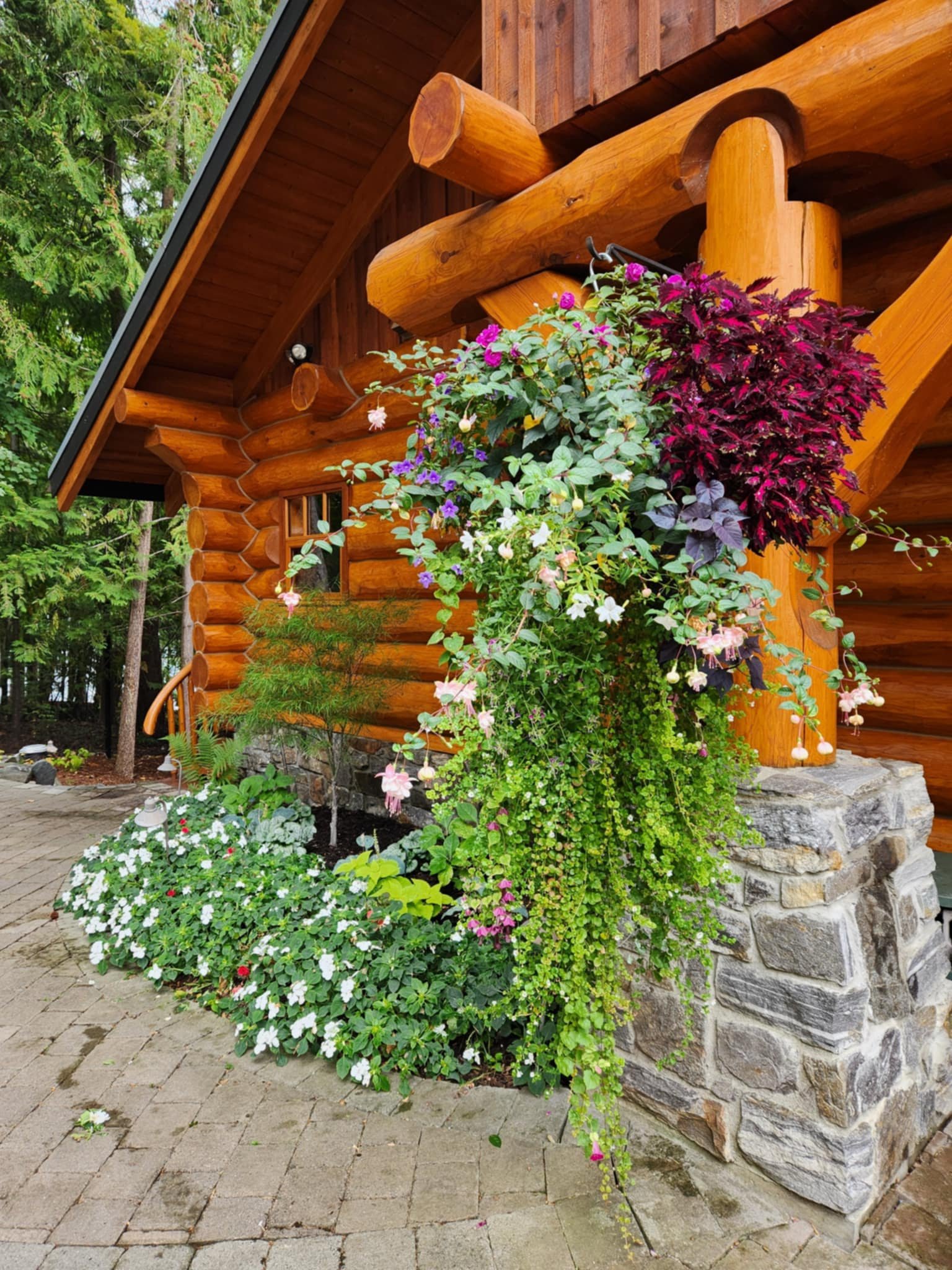 🌿 Garden Maintenance & Plant Care