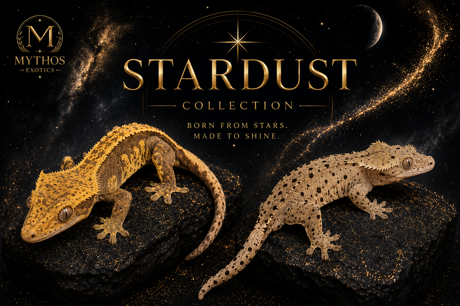 NEW! Stardust Collection