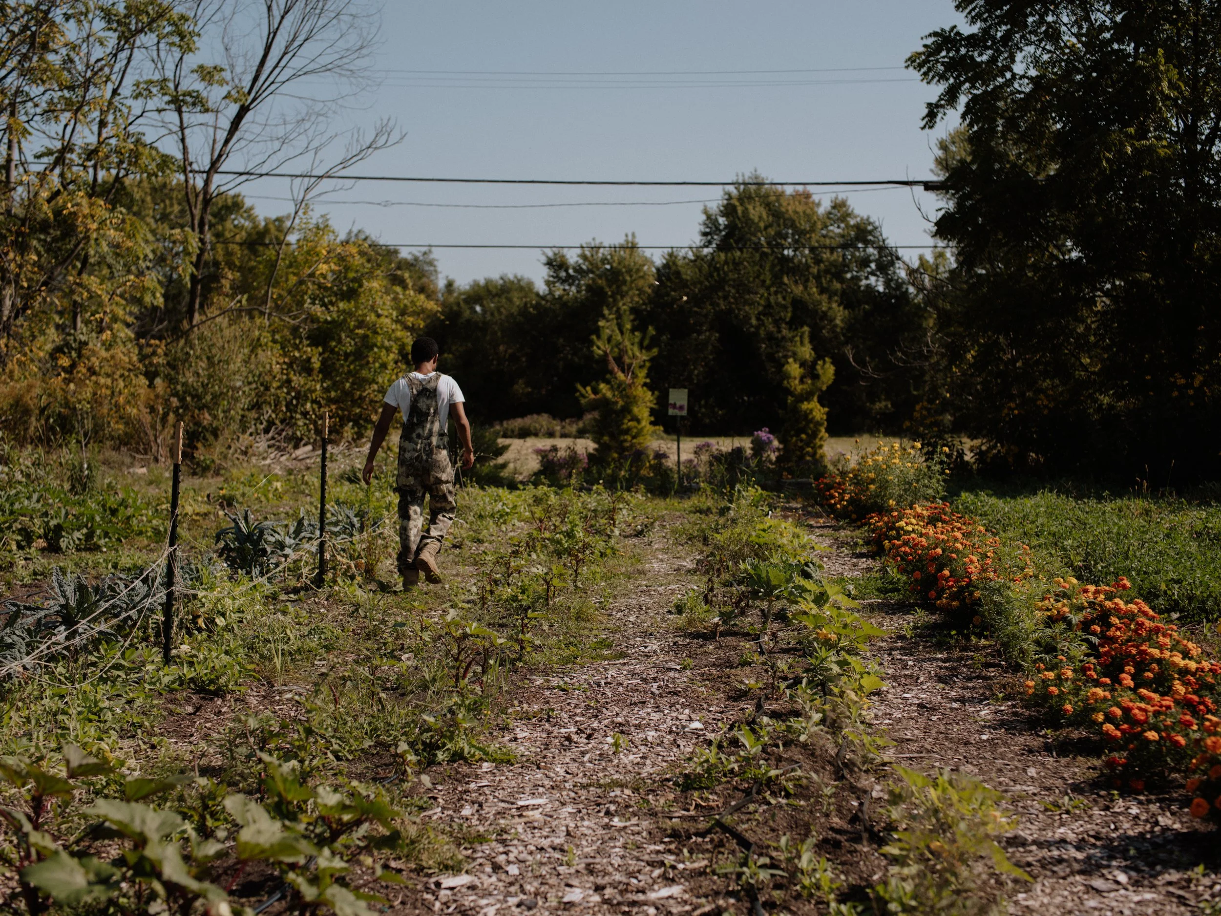 Gardening Workshop