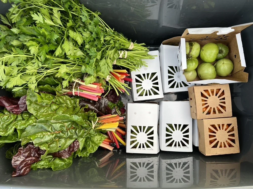 A CSA share with fresh produce