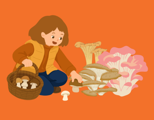 Chapeau les champignons !