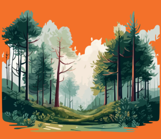La forêt nous enchante !