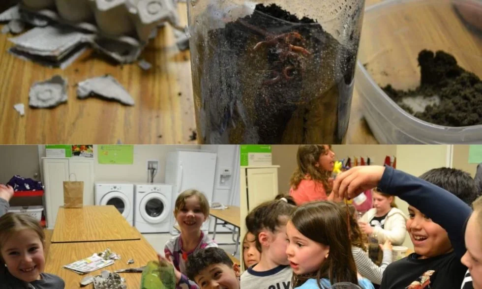 Projet 2 : Vermicompostage (6e à 9e année)