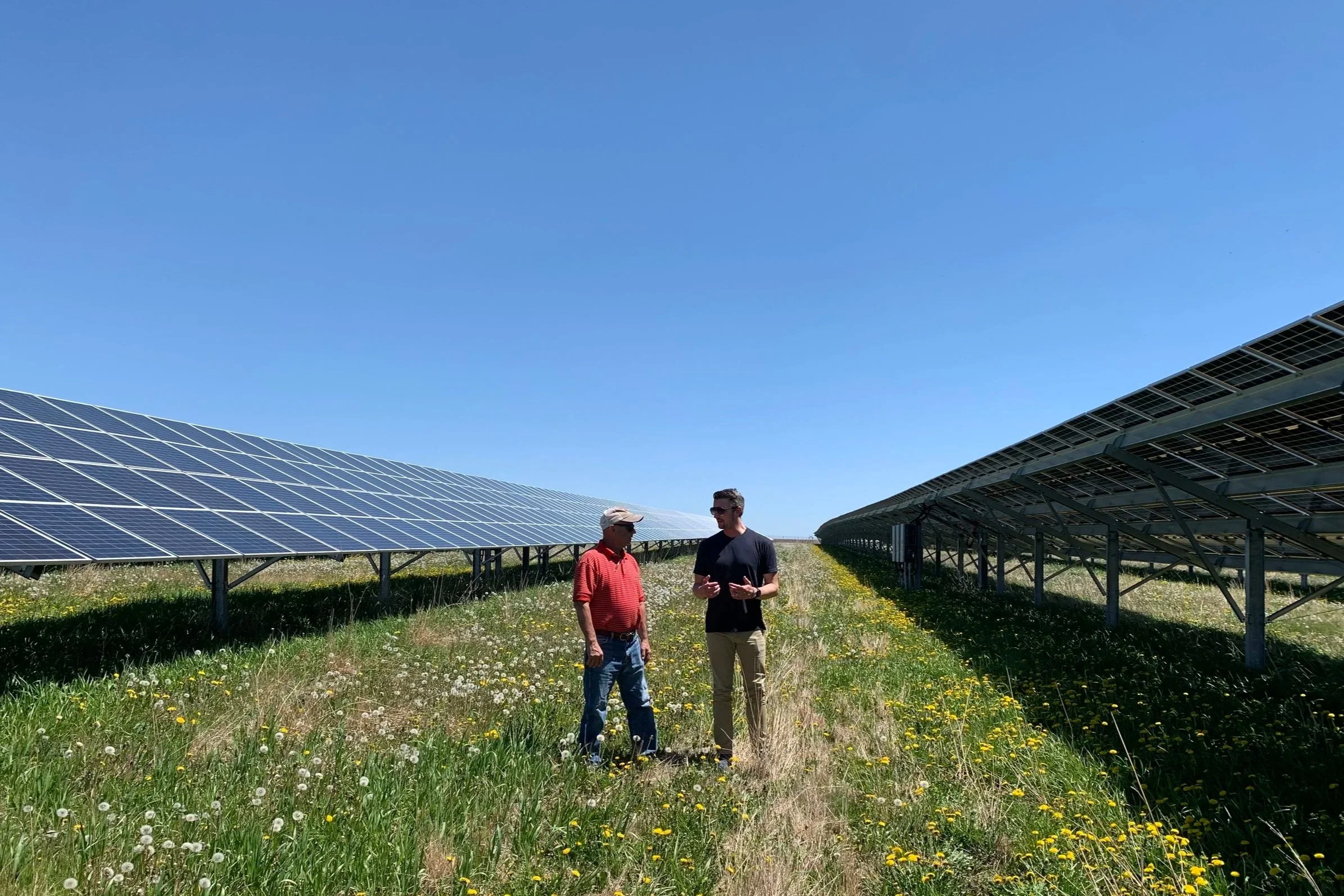 Nokomis Energy | Your Partners in Local Energy