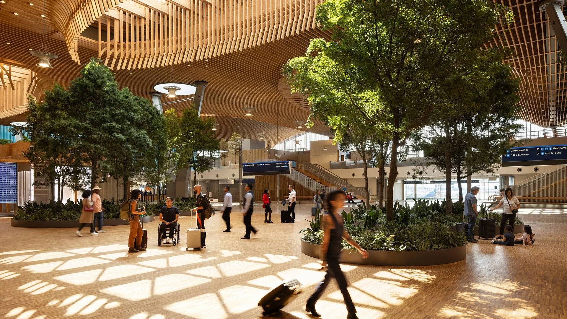 Portland Aircraft Detailing 