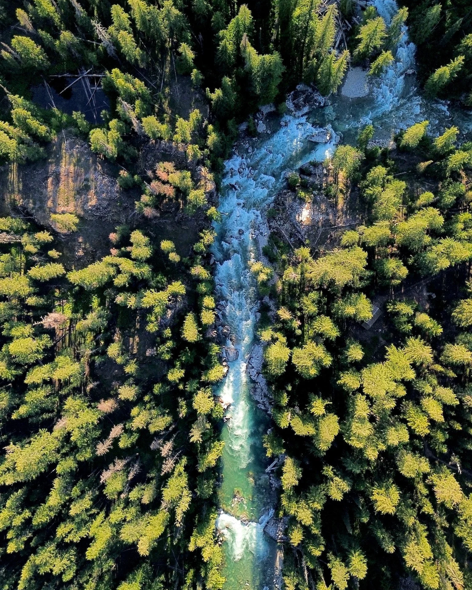 Aerial view of a forest with a river running through it, surrounded by trees and rocky areas.