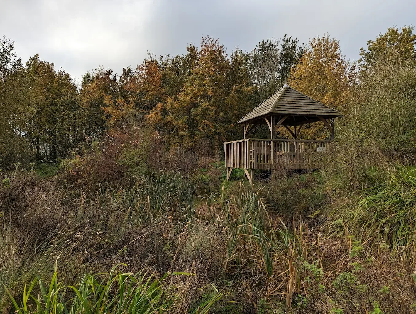 Wooden gazebo in a natural setting with tall grass and autumn trees.