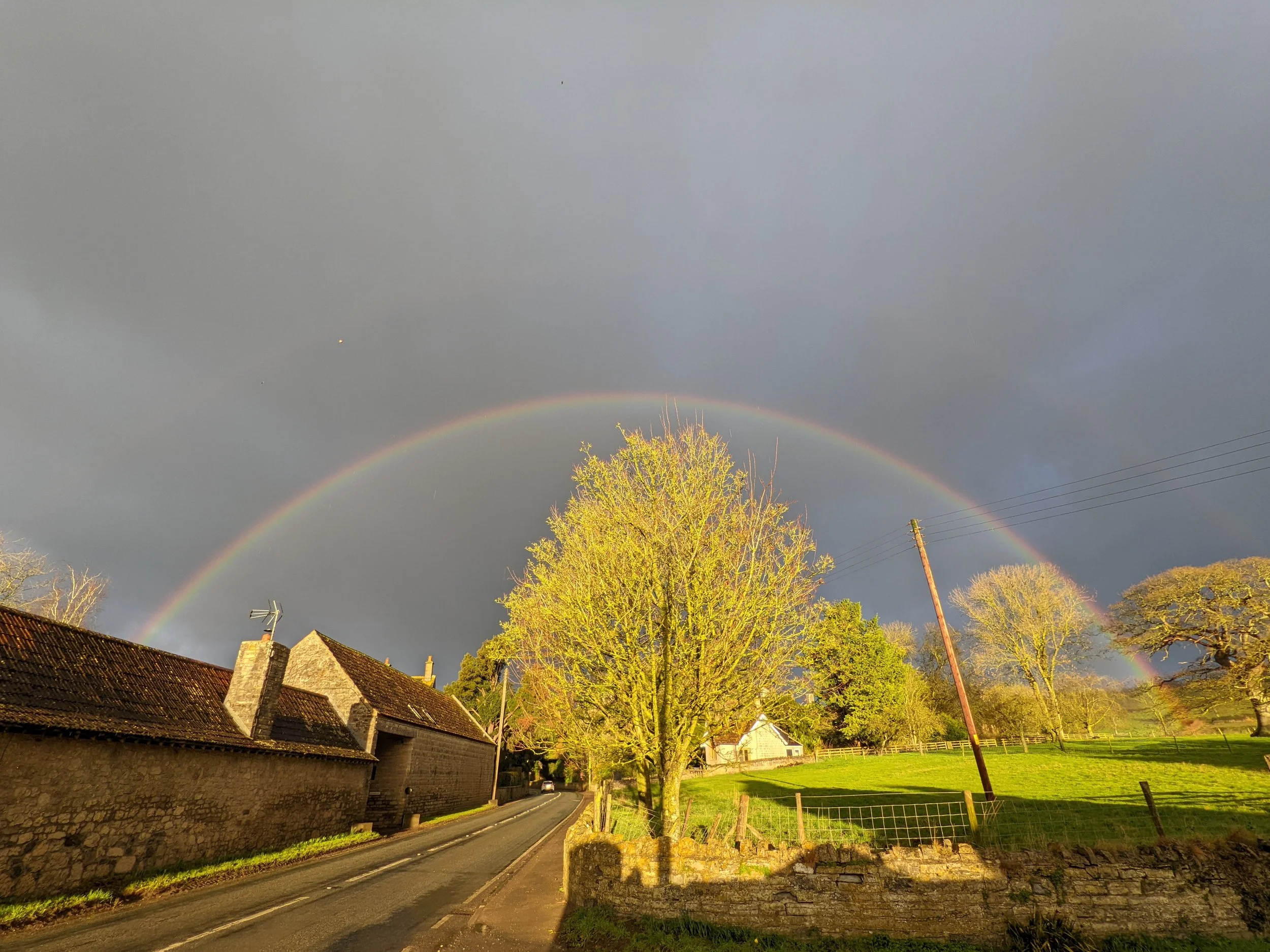A rural scene with a double rainbow arching over a tree-lined street, with sunlight casting warm light on the trees and buildings, under a dark stormy sky.