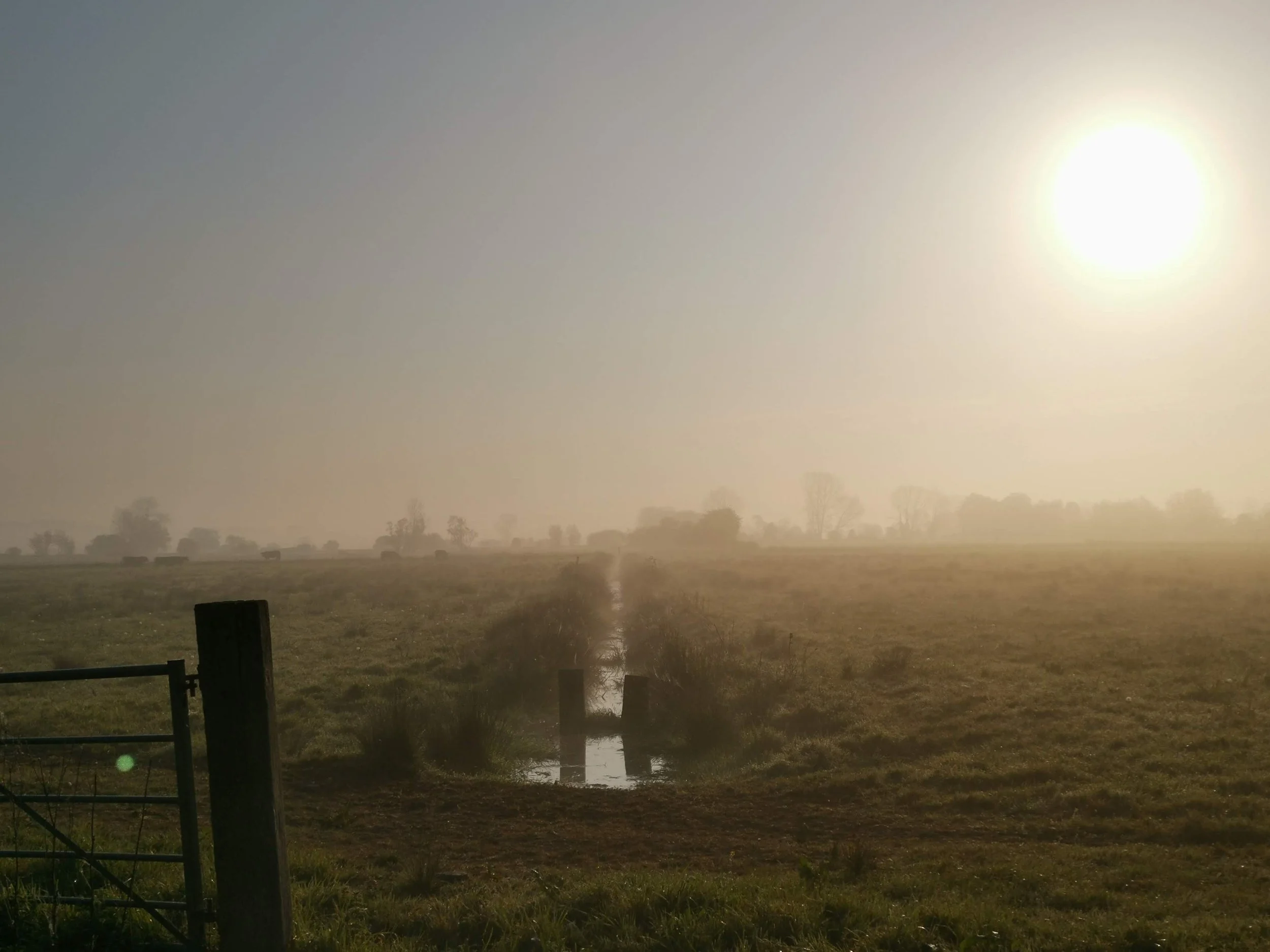 A foggy rural landscape at sunrise with a small stream running through a grassy field, fences, and distant trees beneath a hazy sky.
