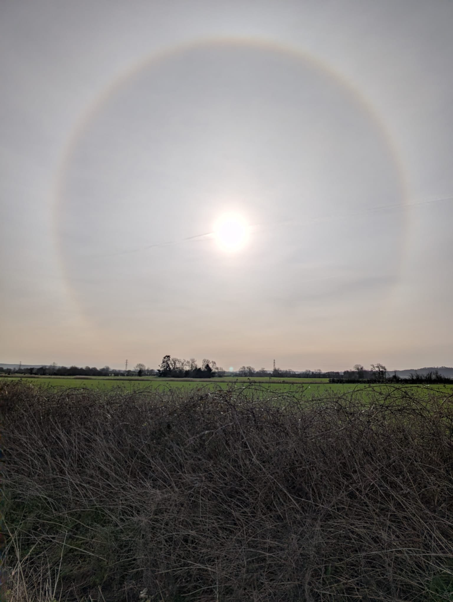 Bright sun in a cloudy sky creating a halo effect over a rural landscape with green fields and dry bushes in the foreground.