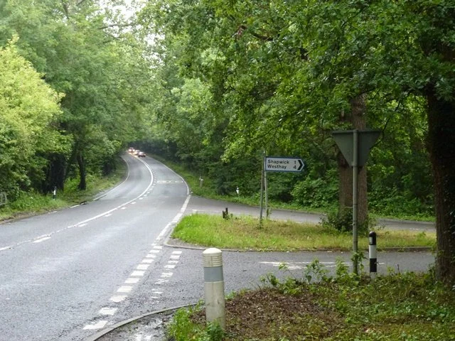 A rural road curving to the left through a green, wooded area with a sign indicating directions to Shapwick and Westhay.