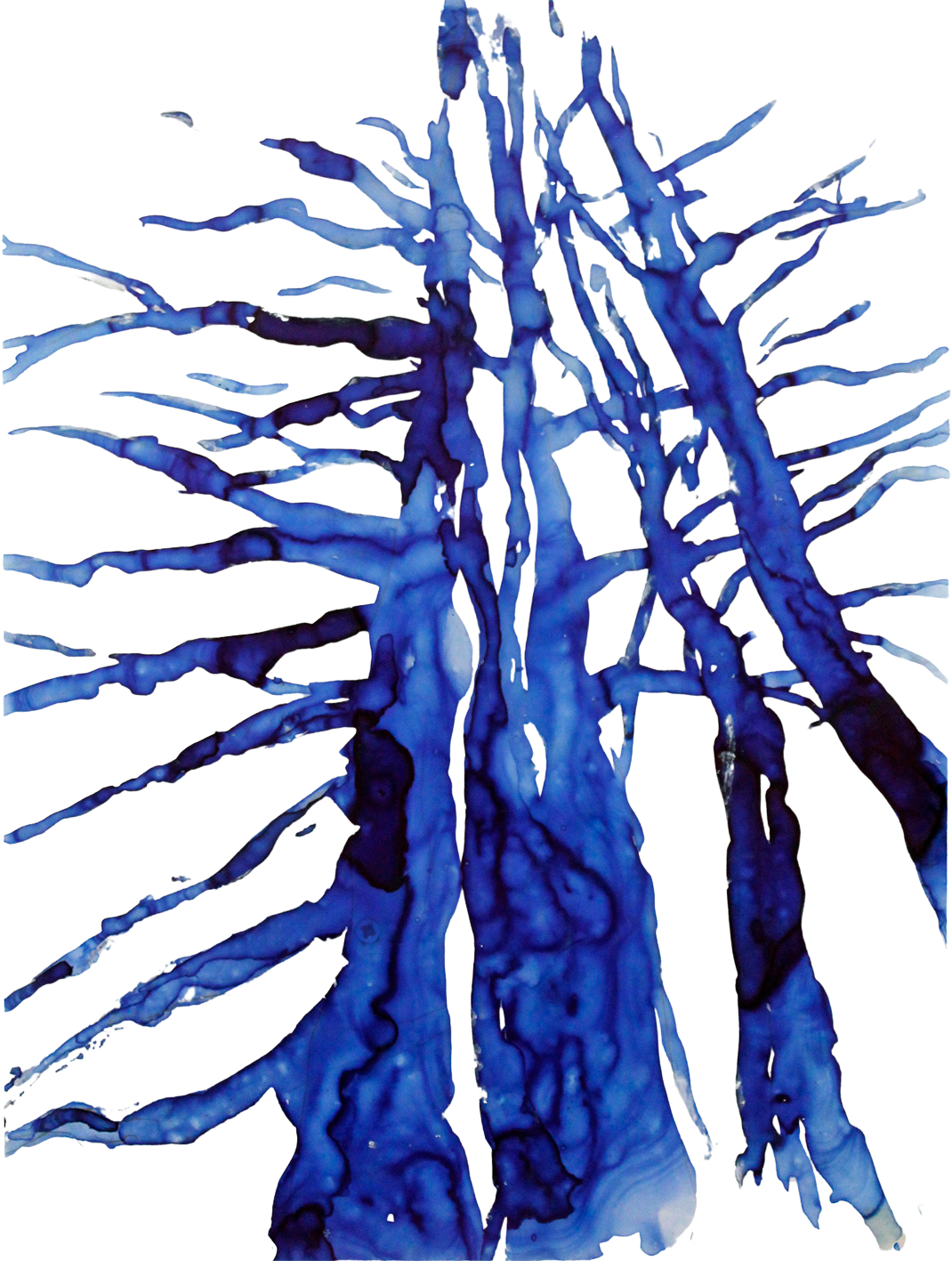 Arbre sans feuilles peint en bleu avec branches nues.