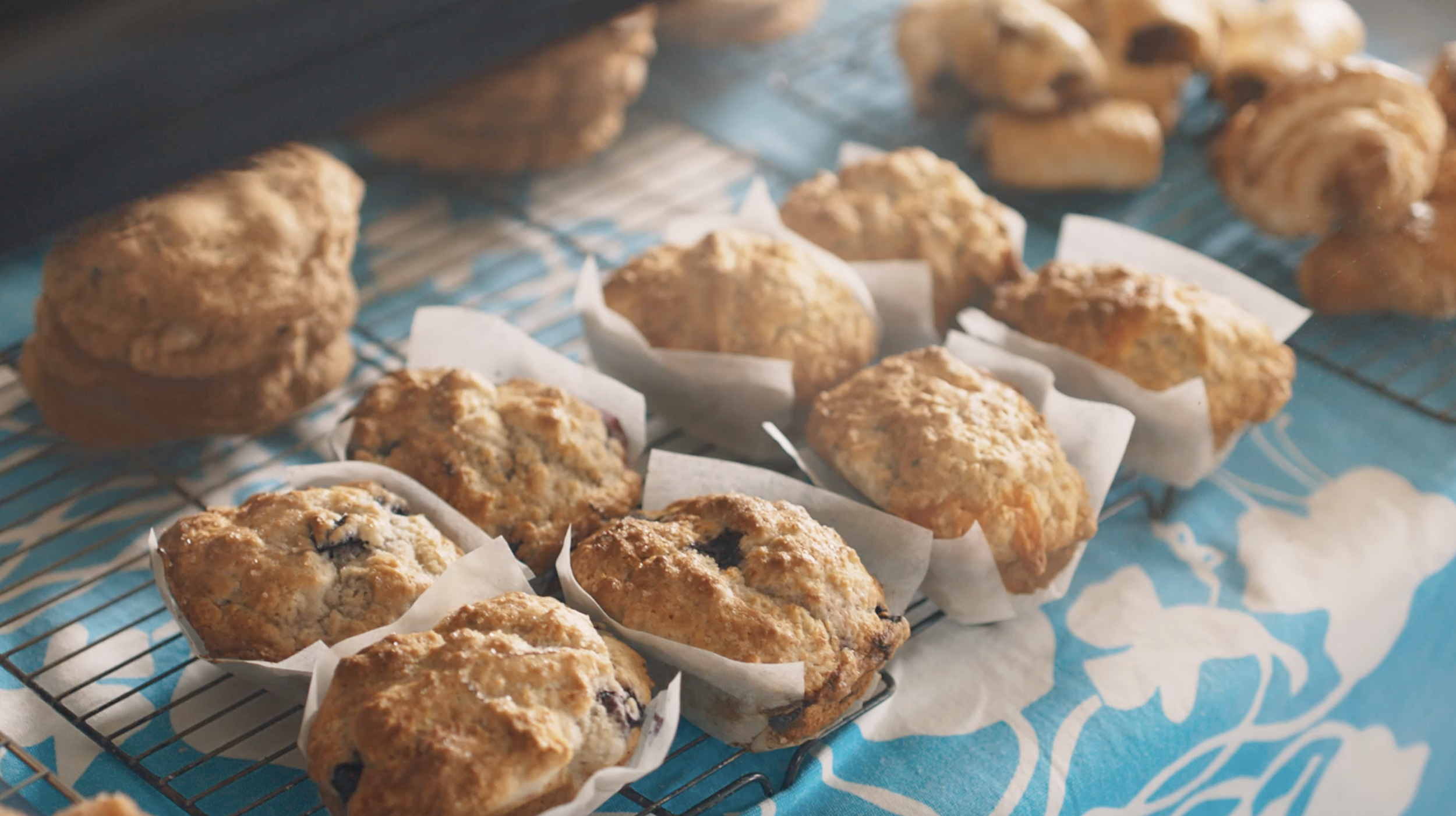 Screenshot 2026-04-10 at 9.08.12 PM.png