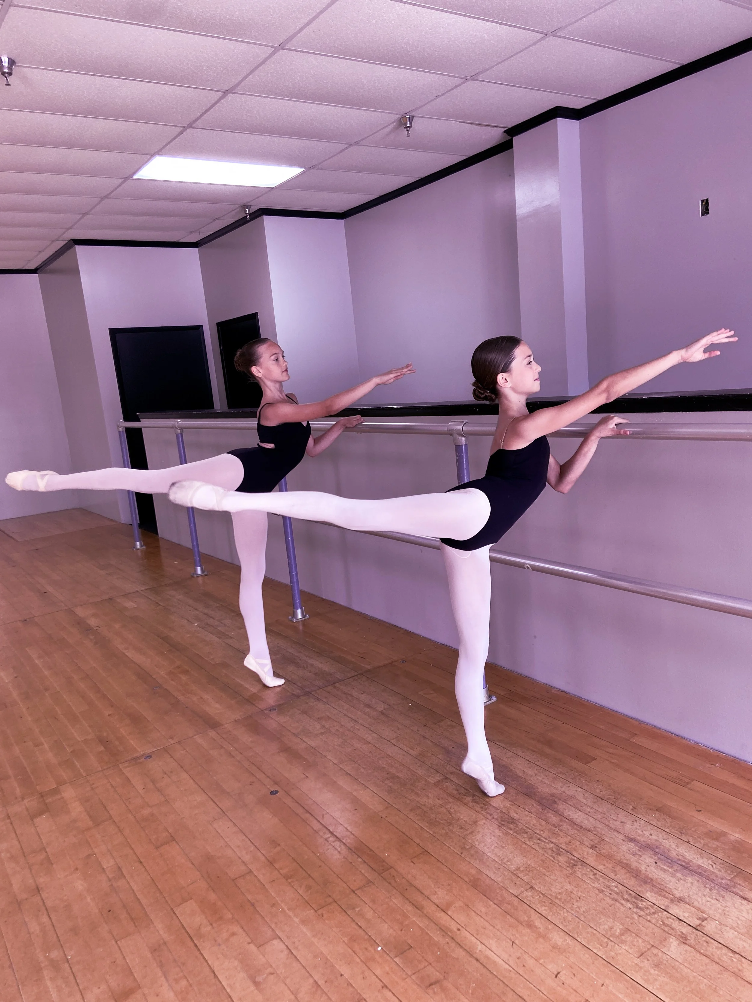 Two young ballet dancers practicing at a barre in a dance studio. Both are standing on one leg, with the other leg extended to the back, and arms reaching forward and to the side. They are wearing black leotards, pink tights, and ballet slippers.
