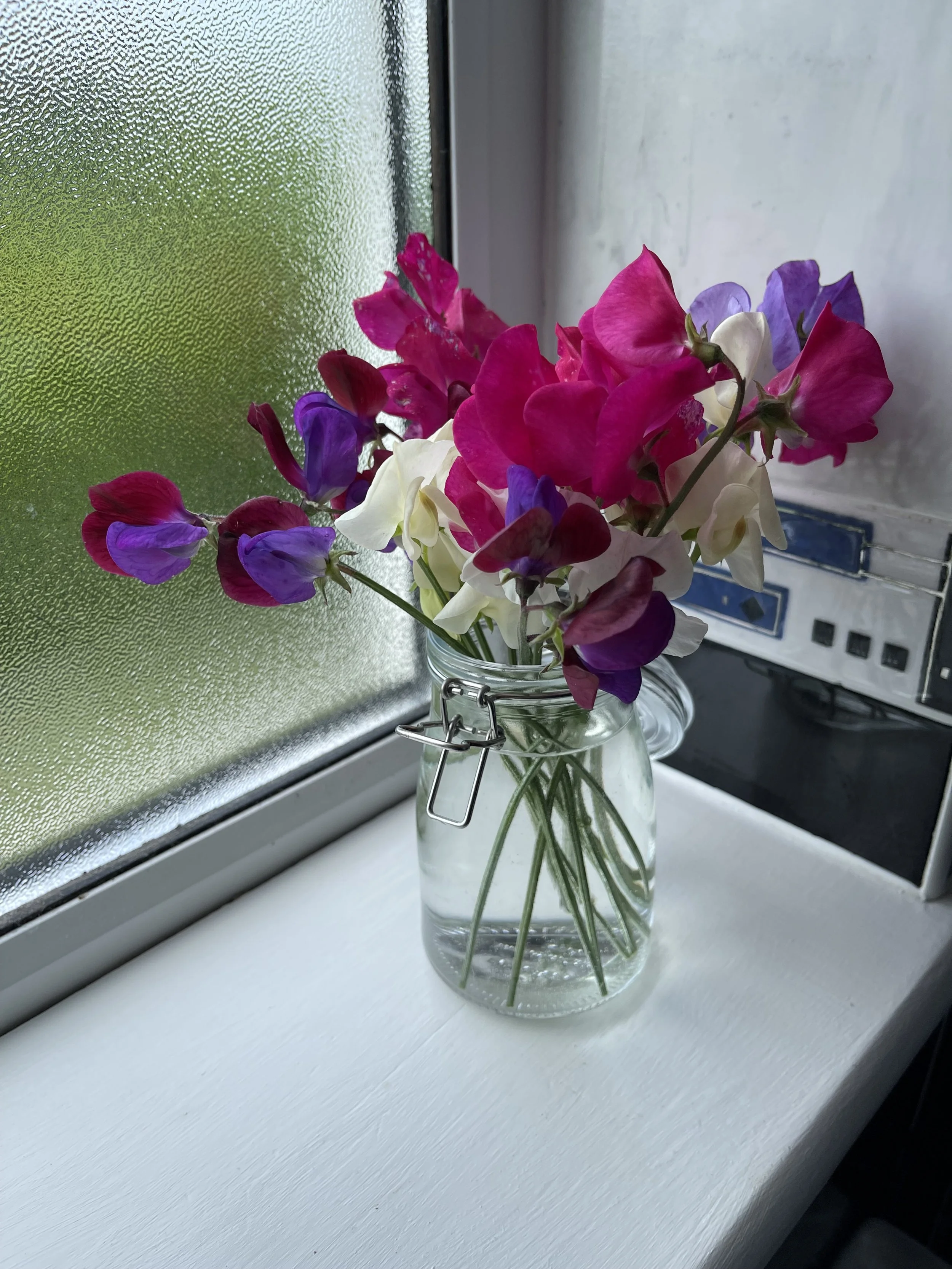 Sweet Peas