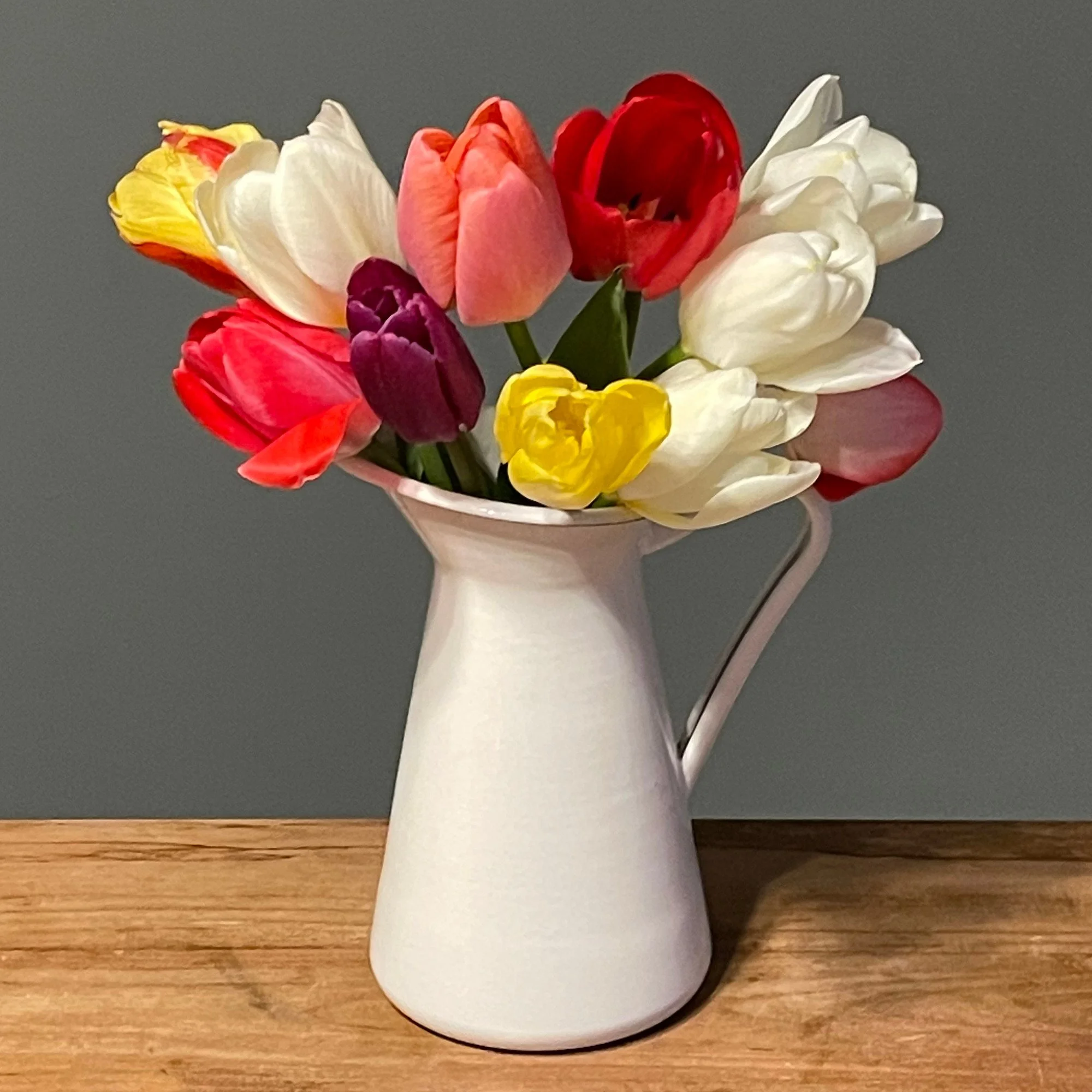 simply_tulip.jpg