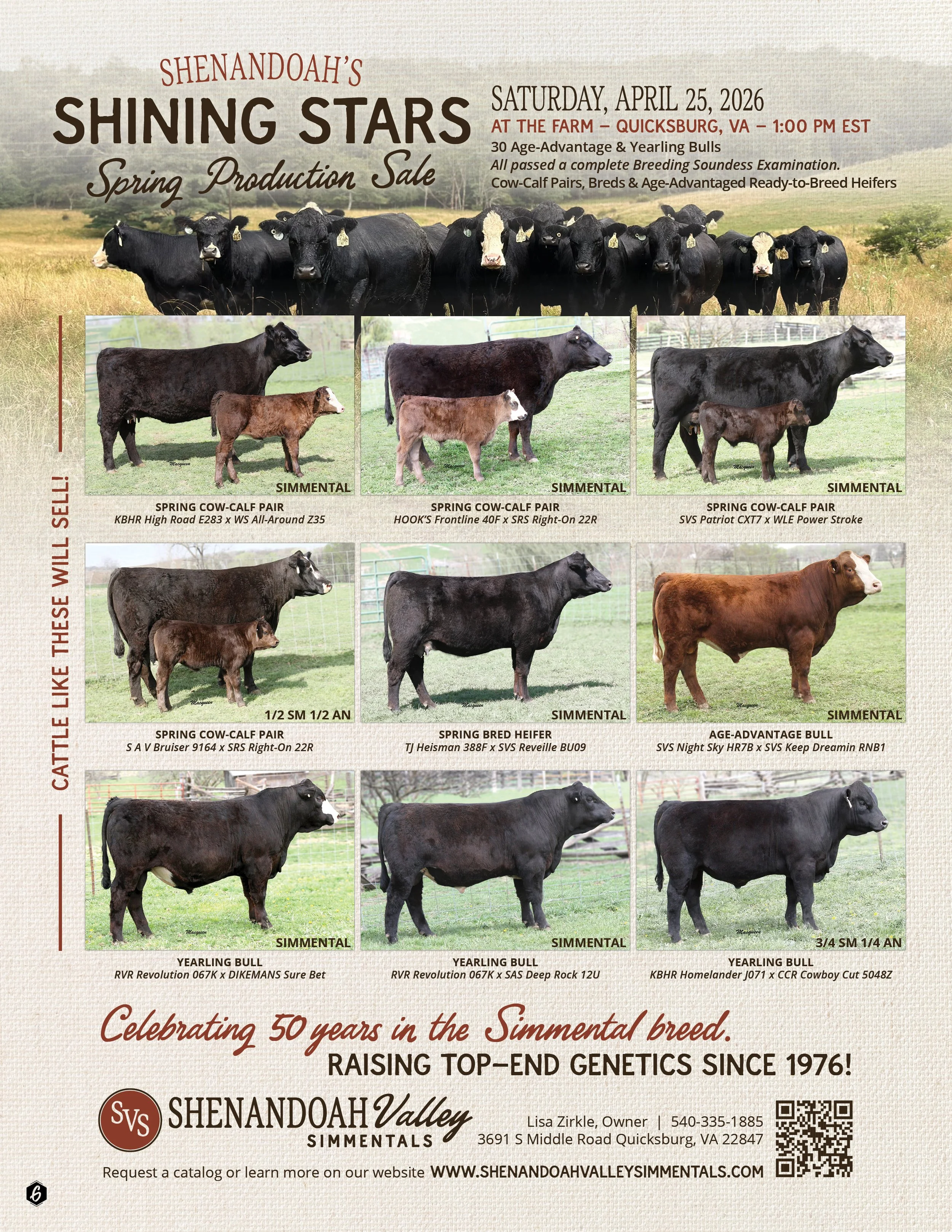 Advertisement for Shenandoah Valley Simmentals, showcasing various bulls and cows for sale with details about their breed, names, and characteristics. The event is scheduled for April 25, 2026, at Quicksburg, VA.