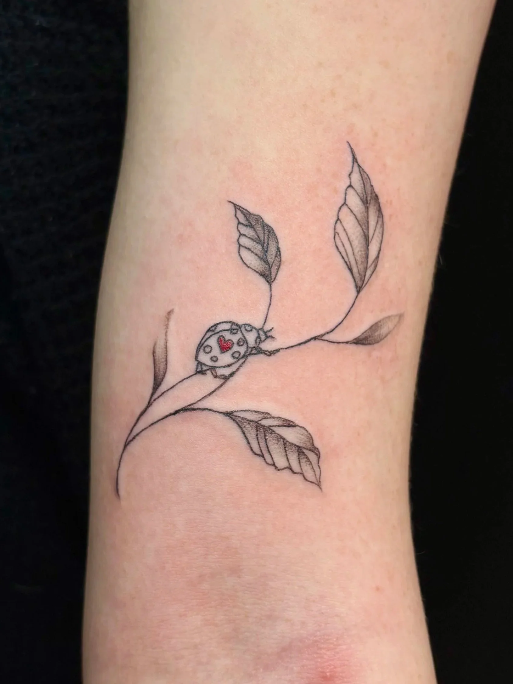 Fine Line & Script Tattoos