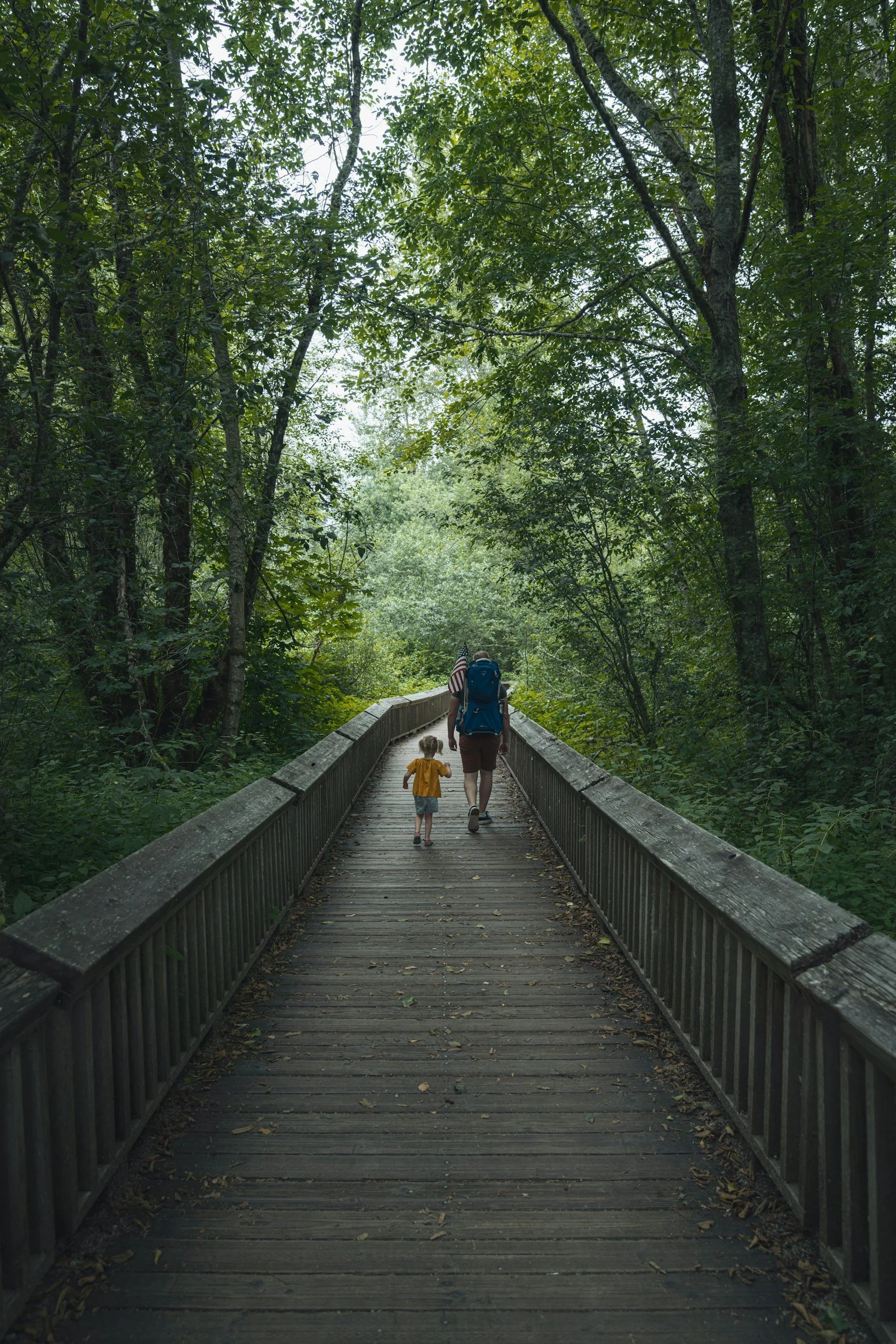 A man and a child walking on a wooden bridge through a lush green forest.