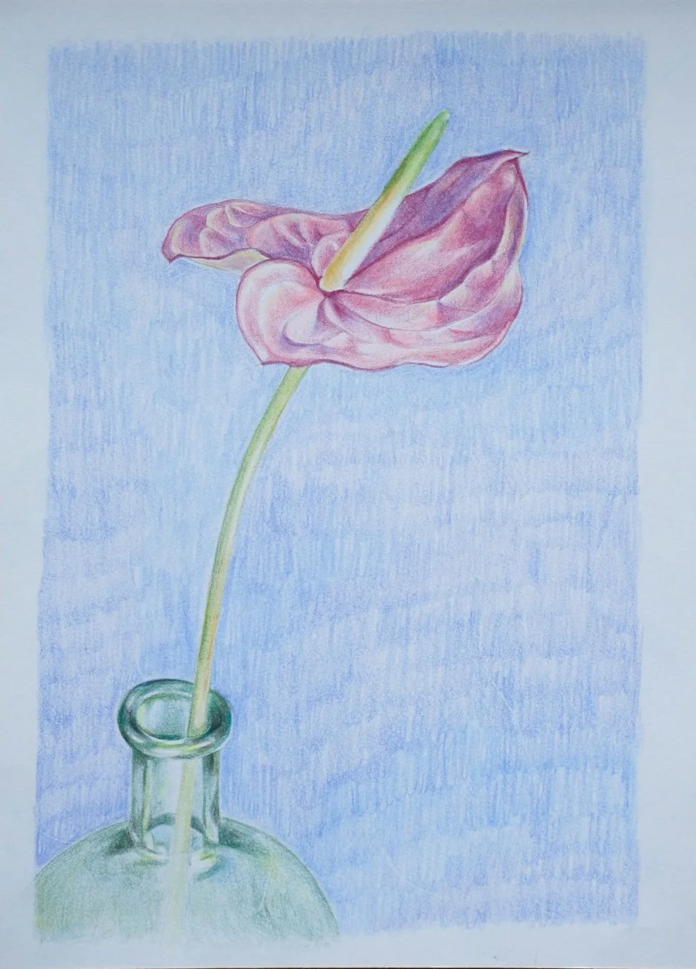 DIY Illustration  Workshop München