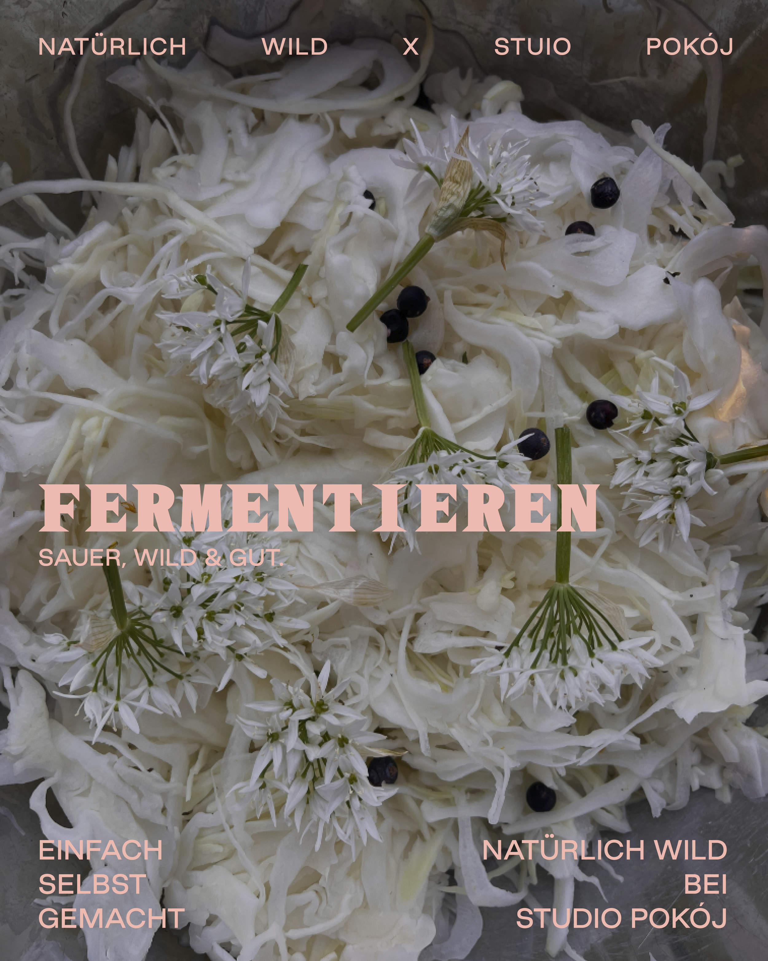 260918_ola_fermentieren.png