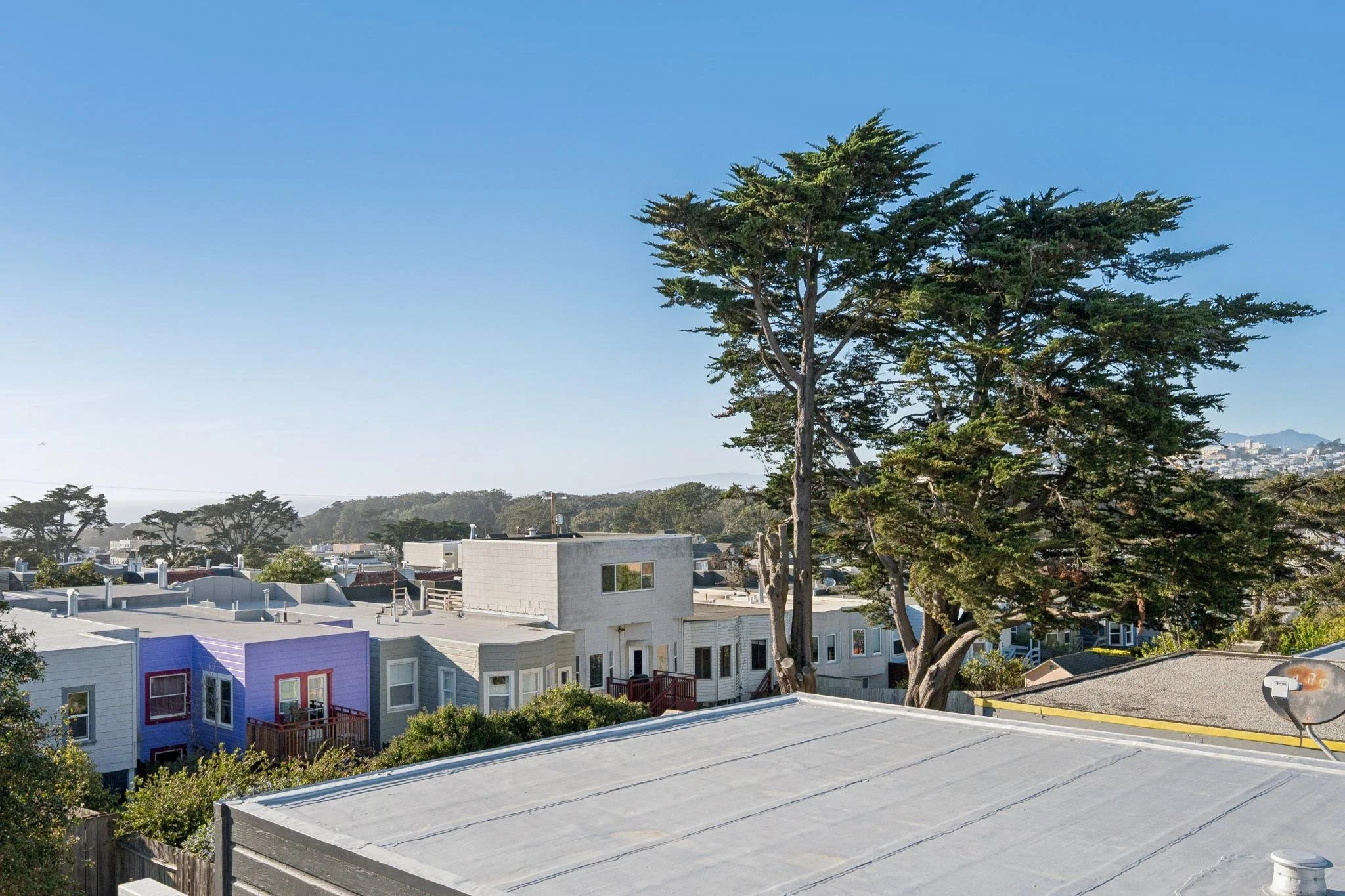 View of rooftops of houses with a large tree and clear blue sky in the background.