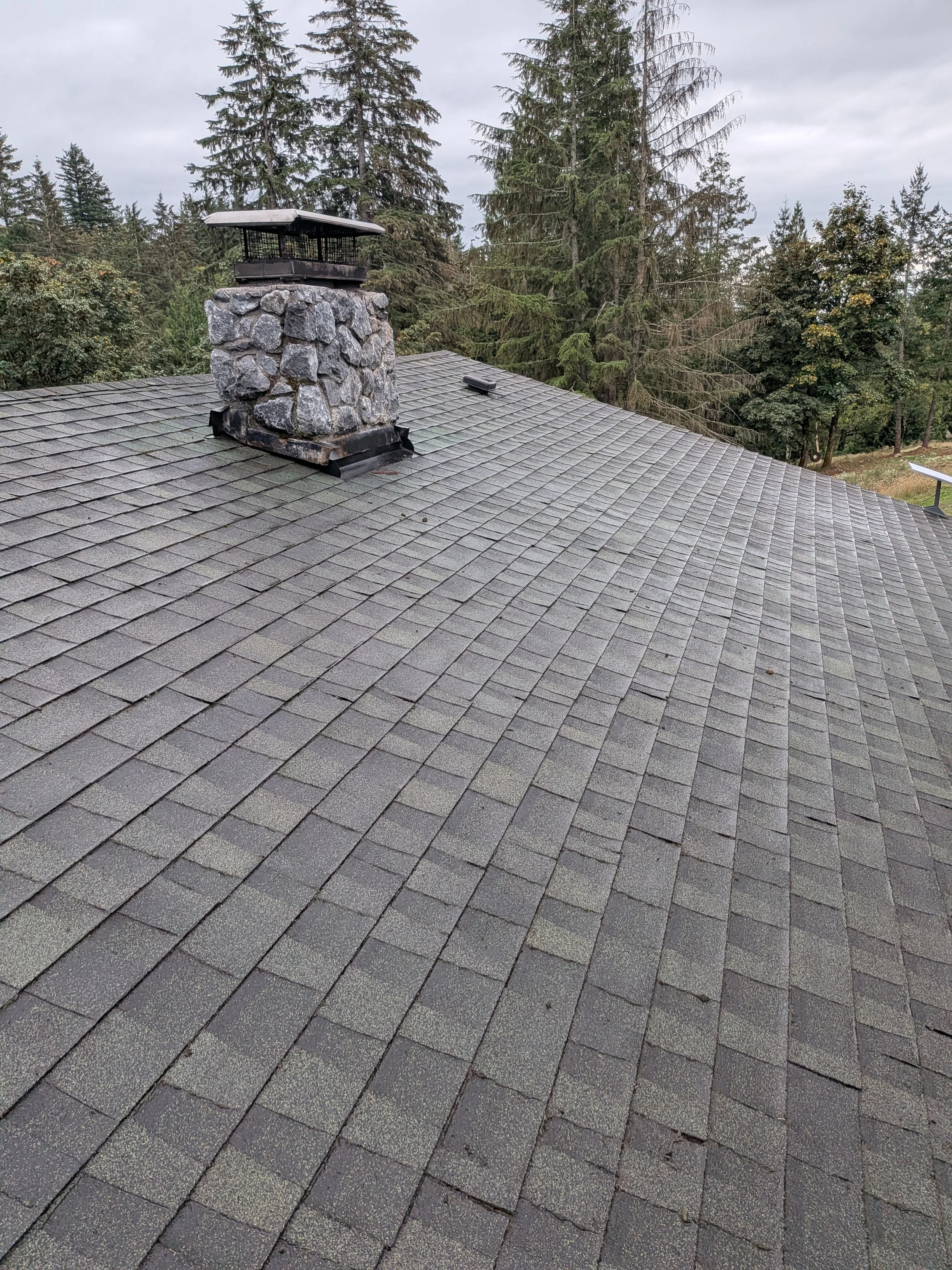 PXL_20260912_215446547.jpg