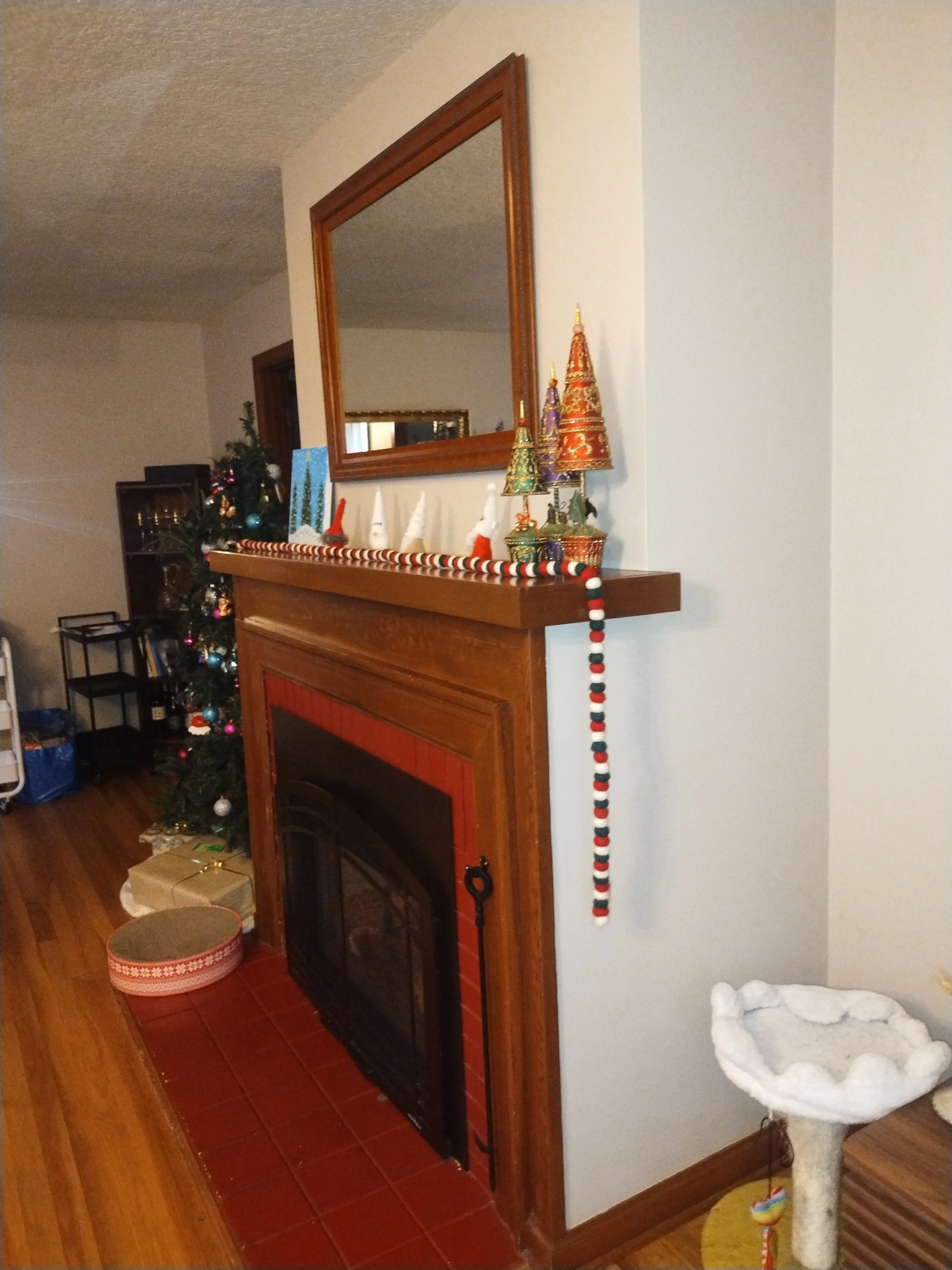 IMG_20251215_142015680.jpg