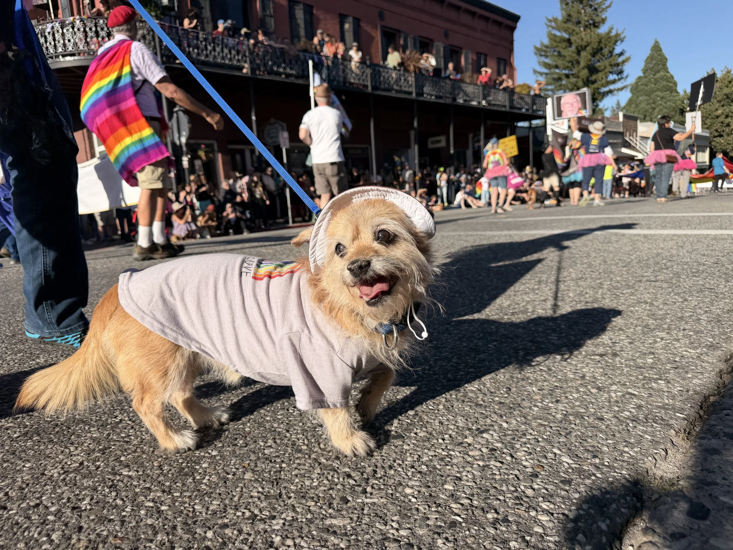 Pride 2026 (8).jpg
