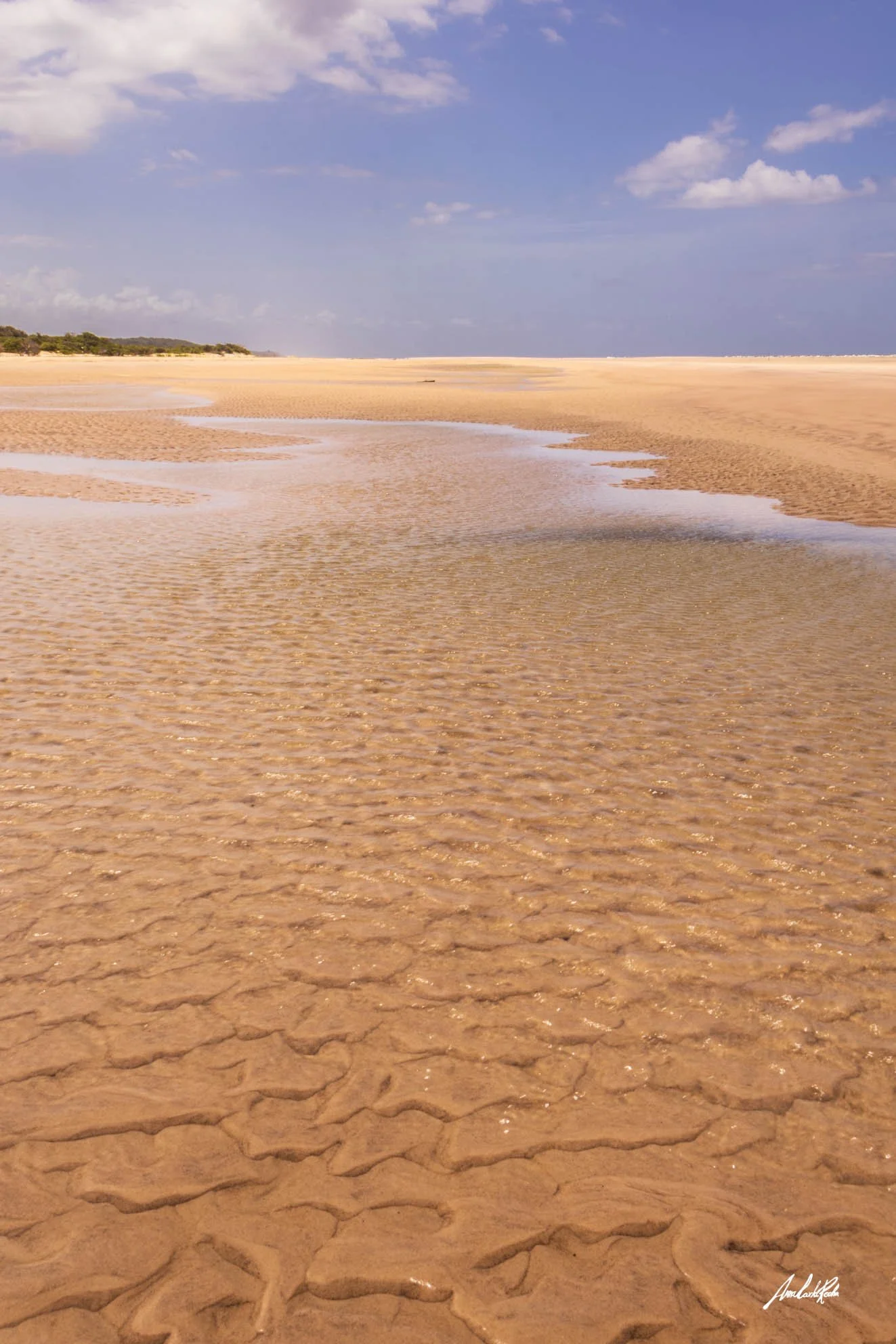 Maré baixa em Marajó
