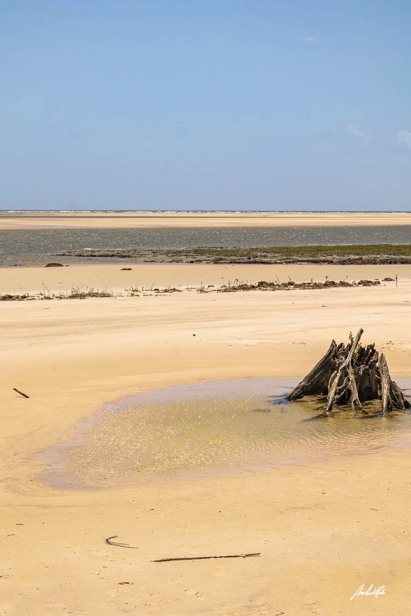 Encontro de rio e mar em Marajó