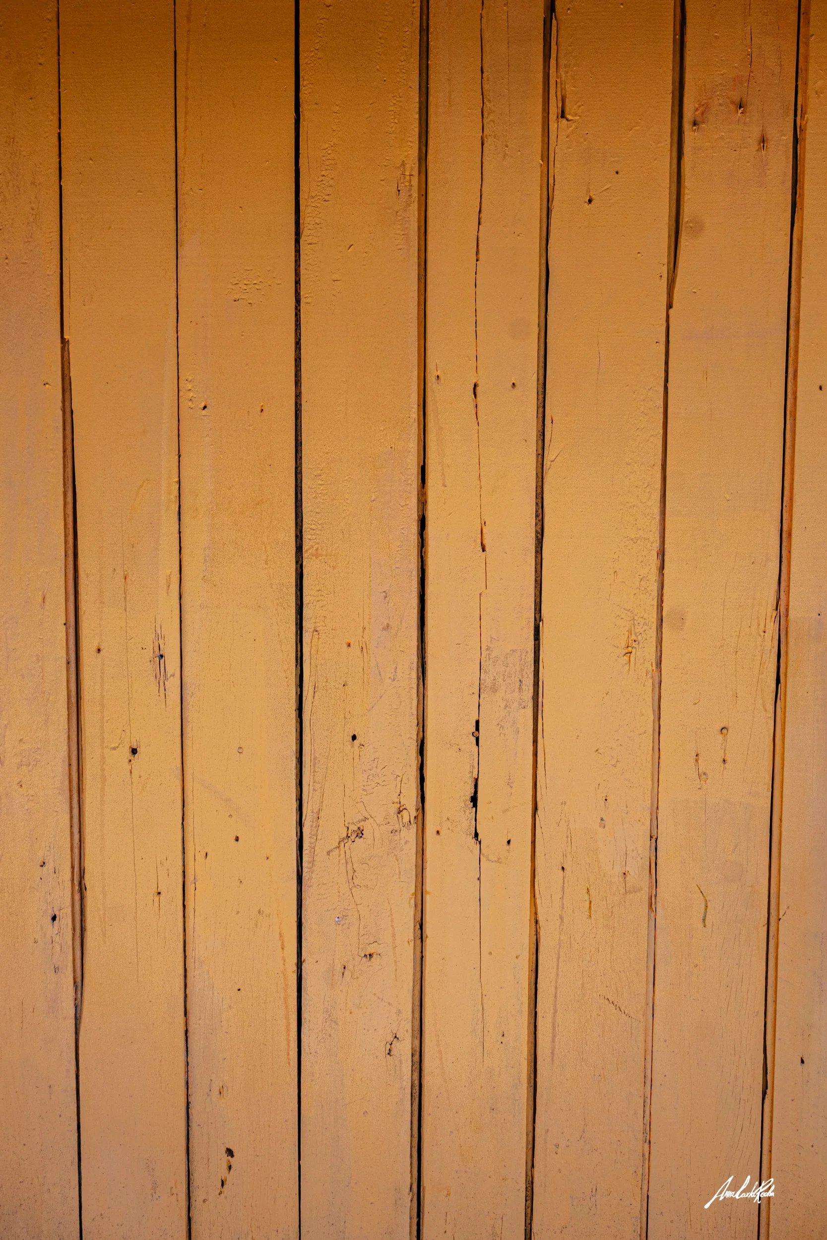 Ripado Amarelo