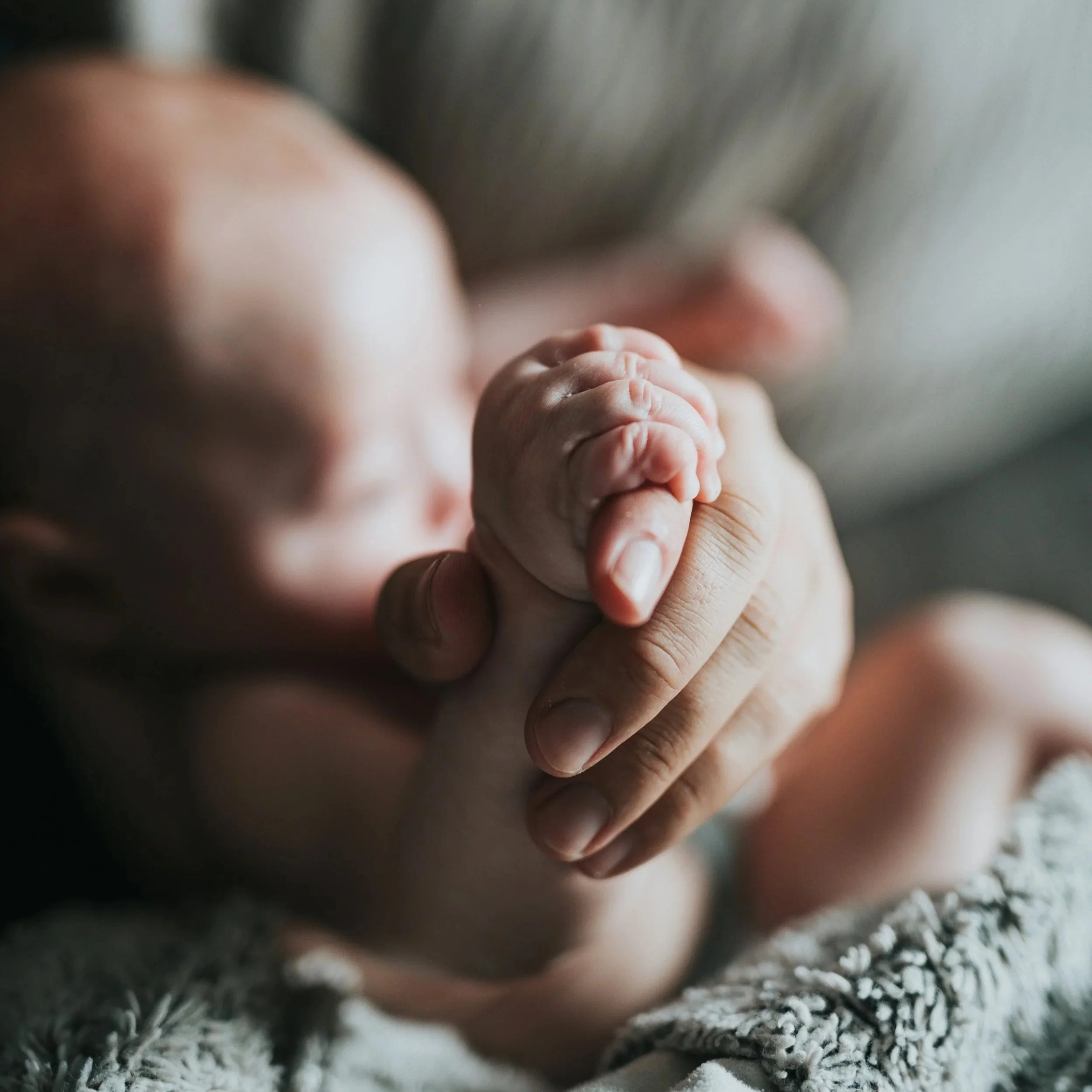 Close-up of an adult hand holding a small infant's hand over carpet with white specks.