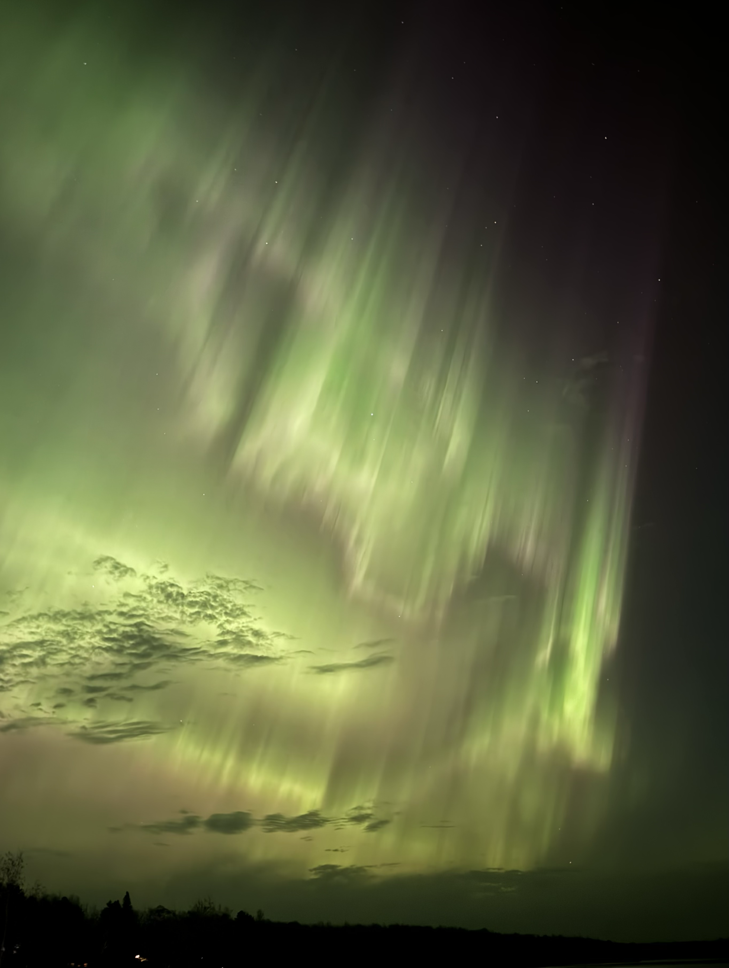 Nature | Photography