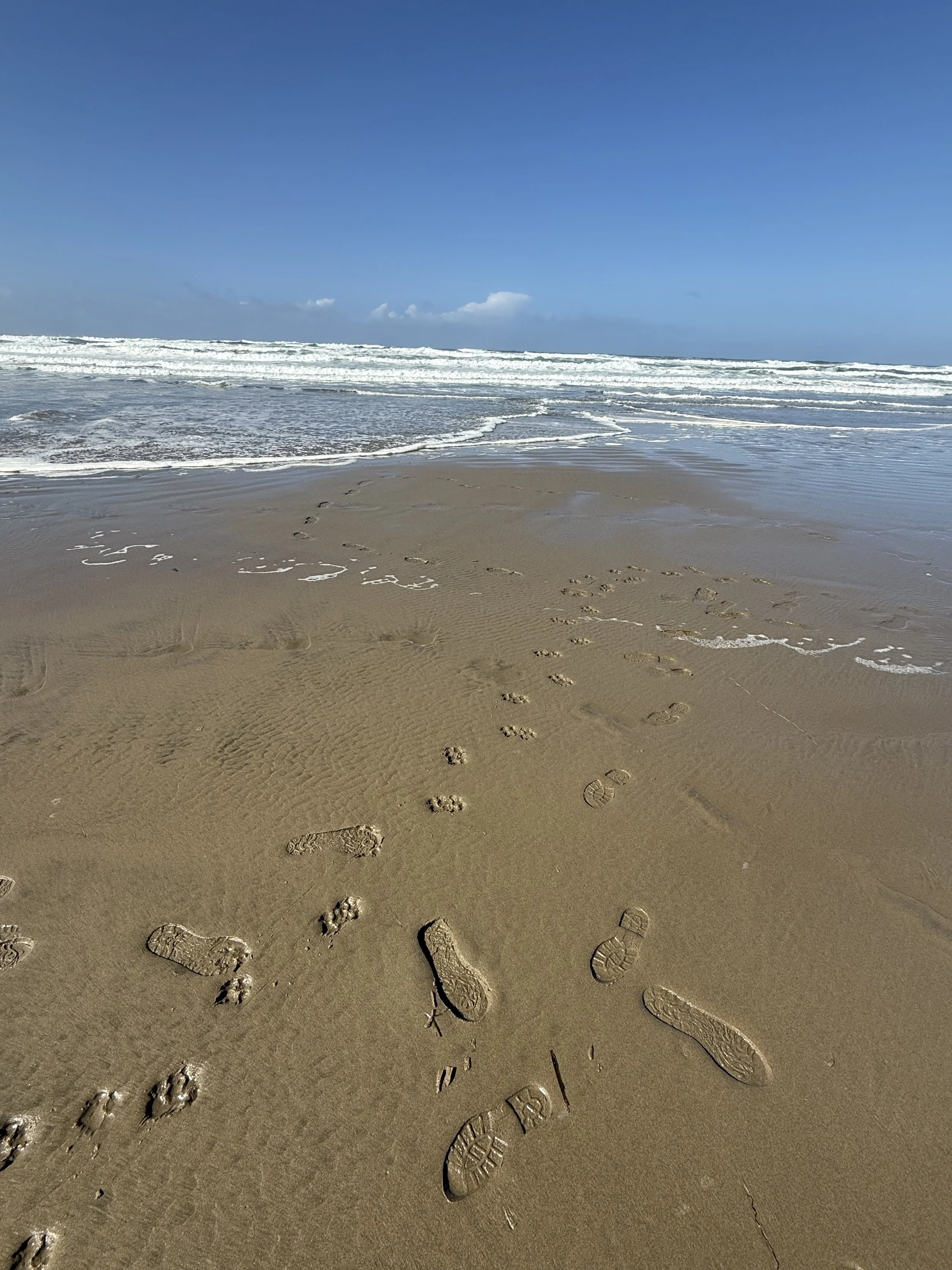 Where the Water Isn’t - reflections on grief and the tides