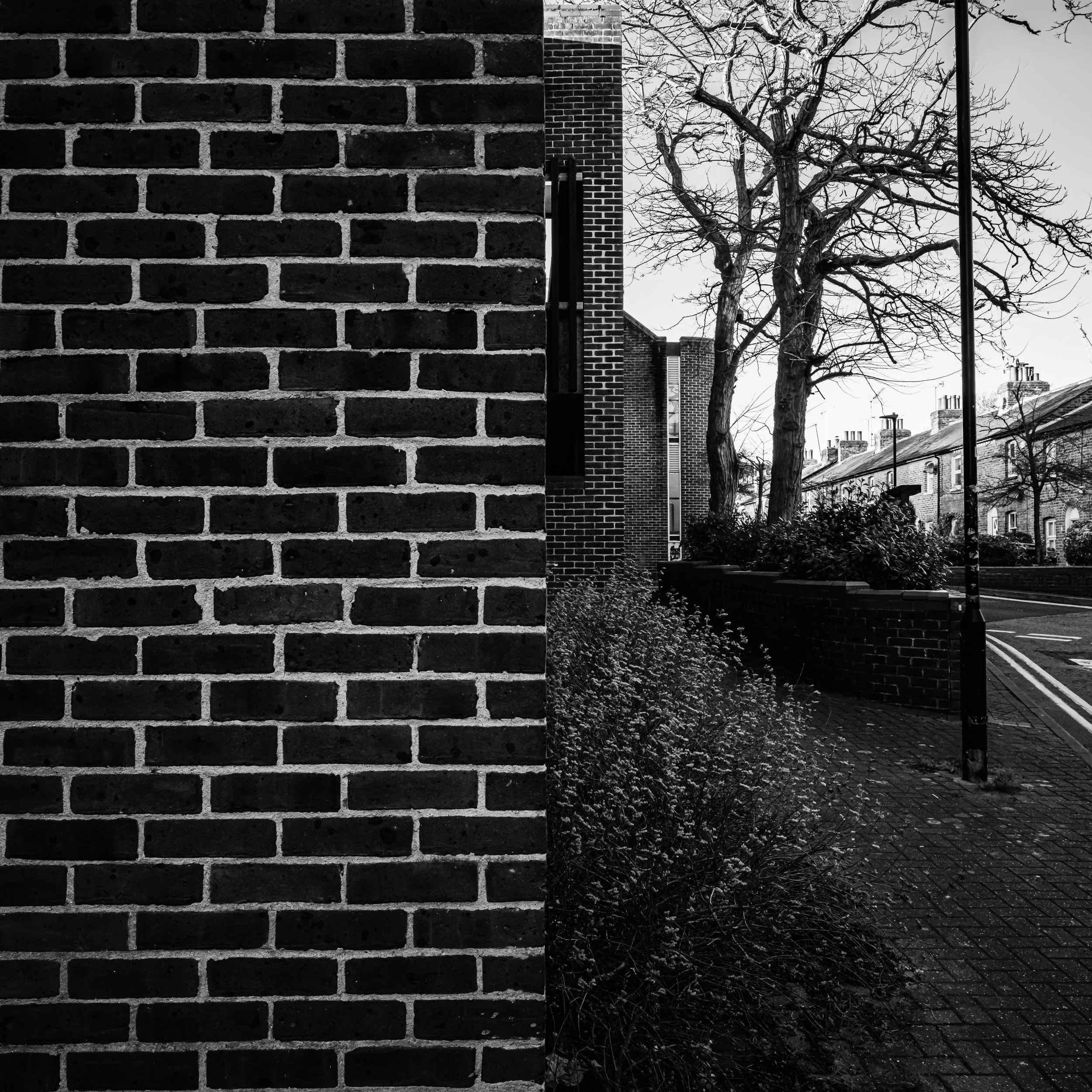 untitled-15.jpg
