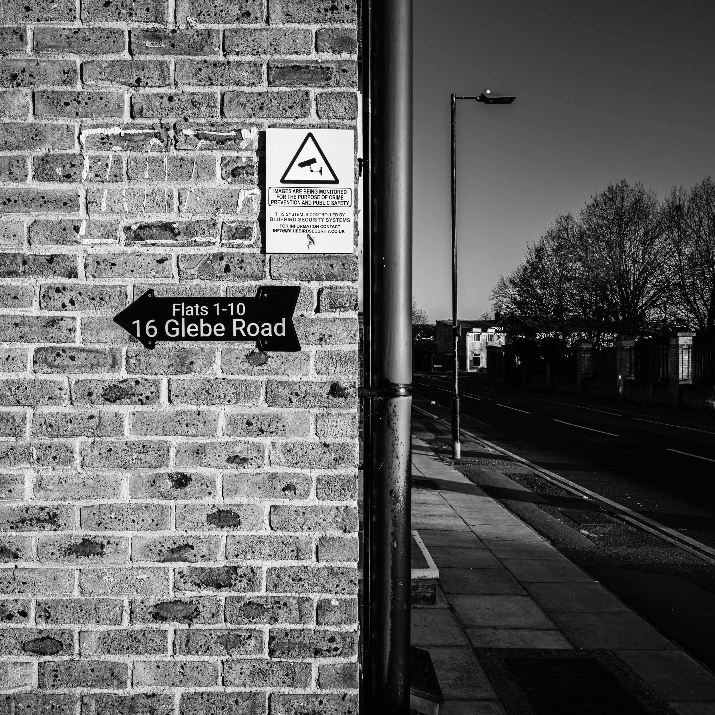 untitled-19.jpg