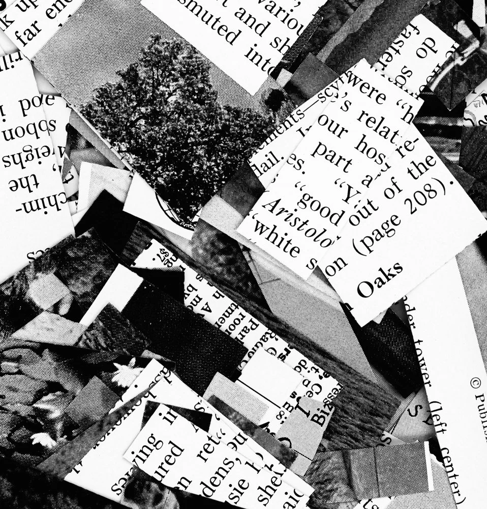 untitled-18.jpg