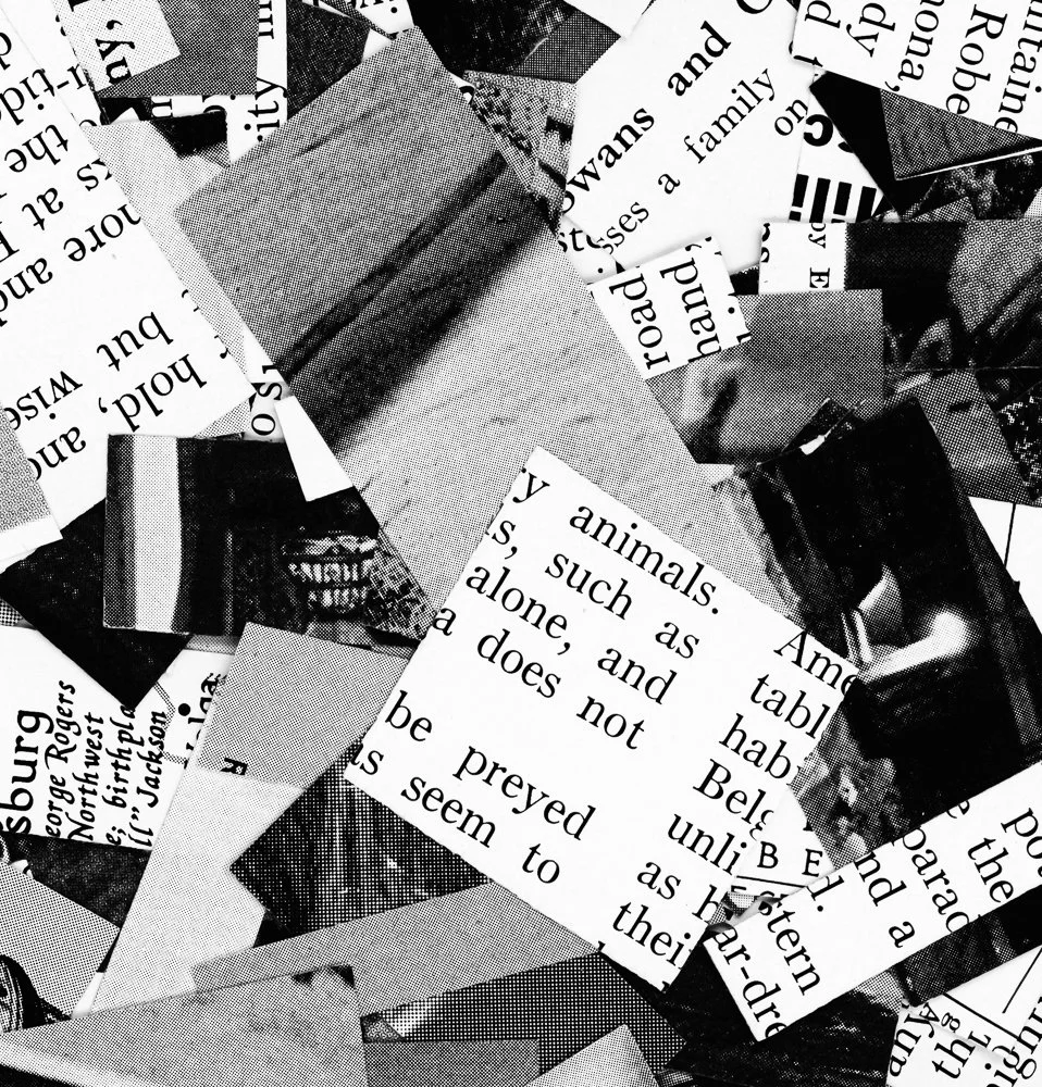 untitled-39.jpg