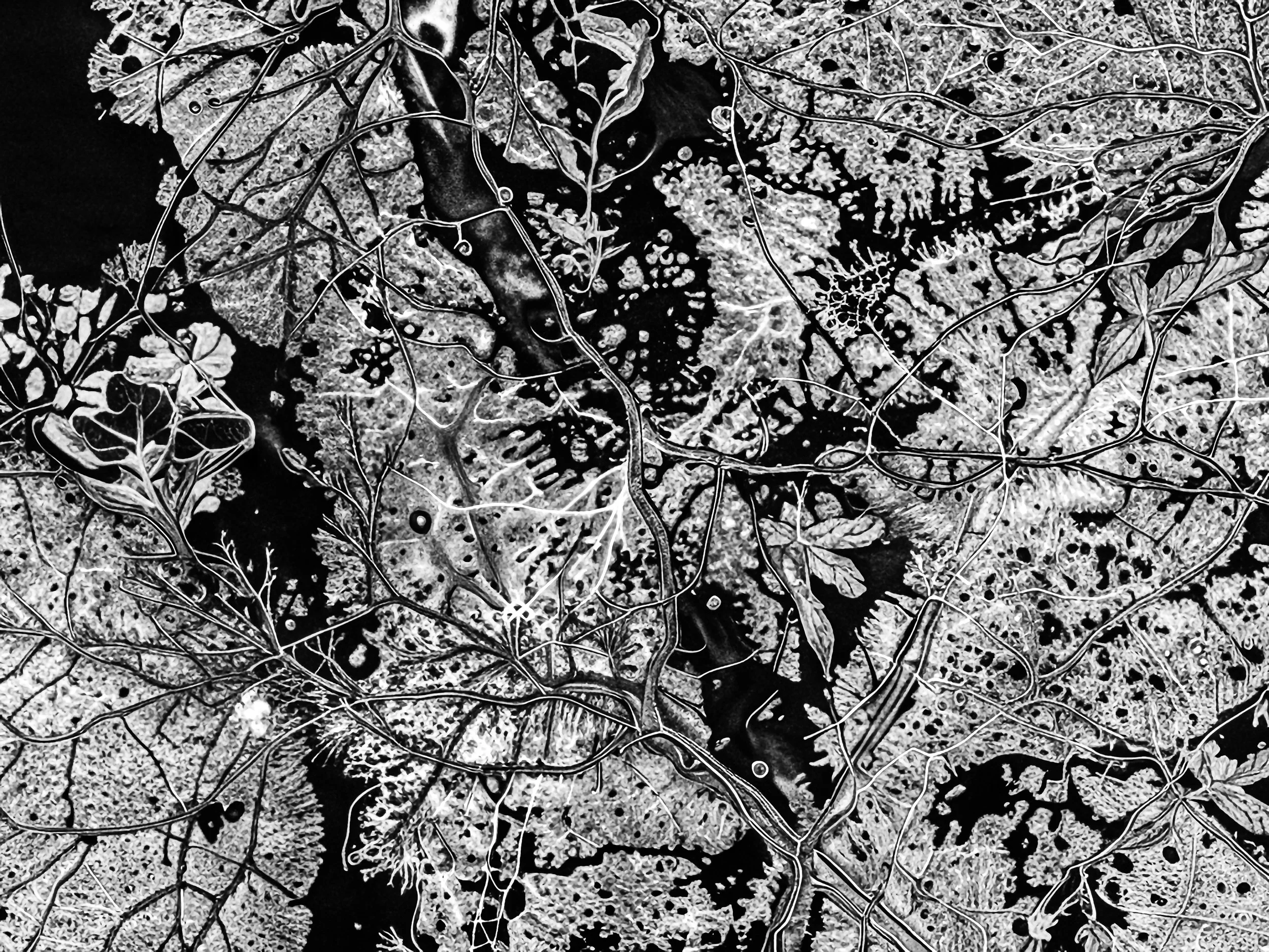 SPECIMEN REF: #043 TARGET LOCATION: KUALA LUMPUR, MALAYSIA LAT: 03°08'20"N // LON: 101°41'12"E ALT: 10.000 METERS // ORIENTATION: TRUE NORTH / NADIR