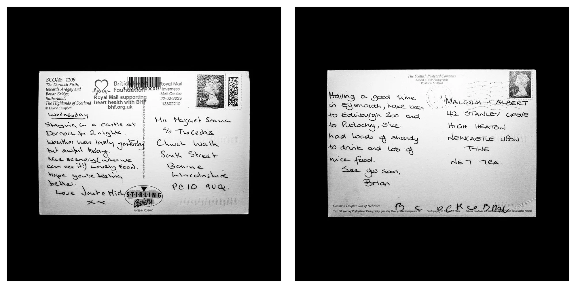 A forensic photographic capture displaying the reverse sides of two historical postcards positioned side-by-side against an absolute black space. Part of a systematic cataloging protocol, the image isolates the artifacts to treat handwriting, postal 