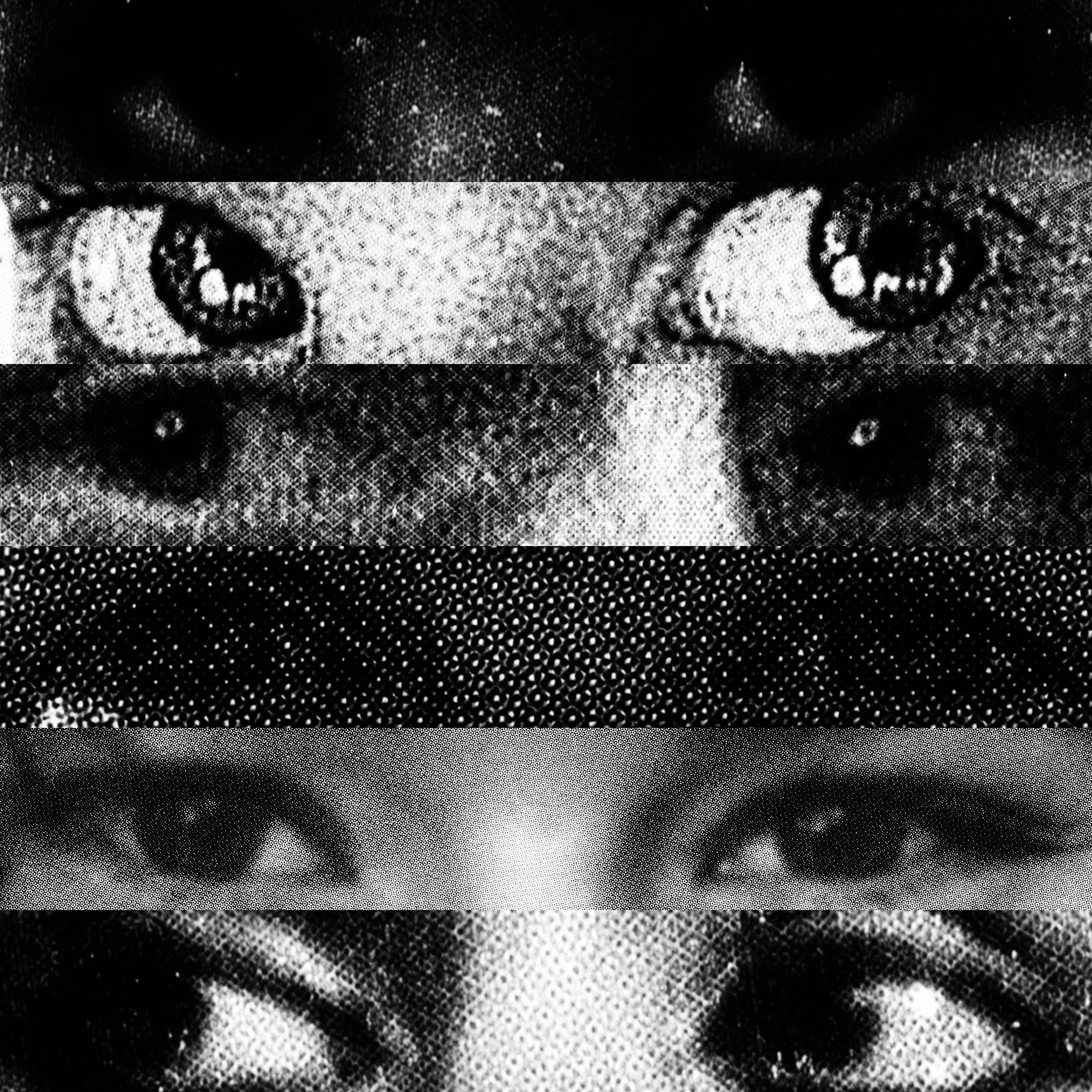 untitled-21.jpg