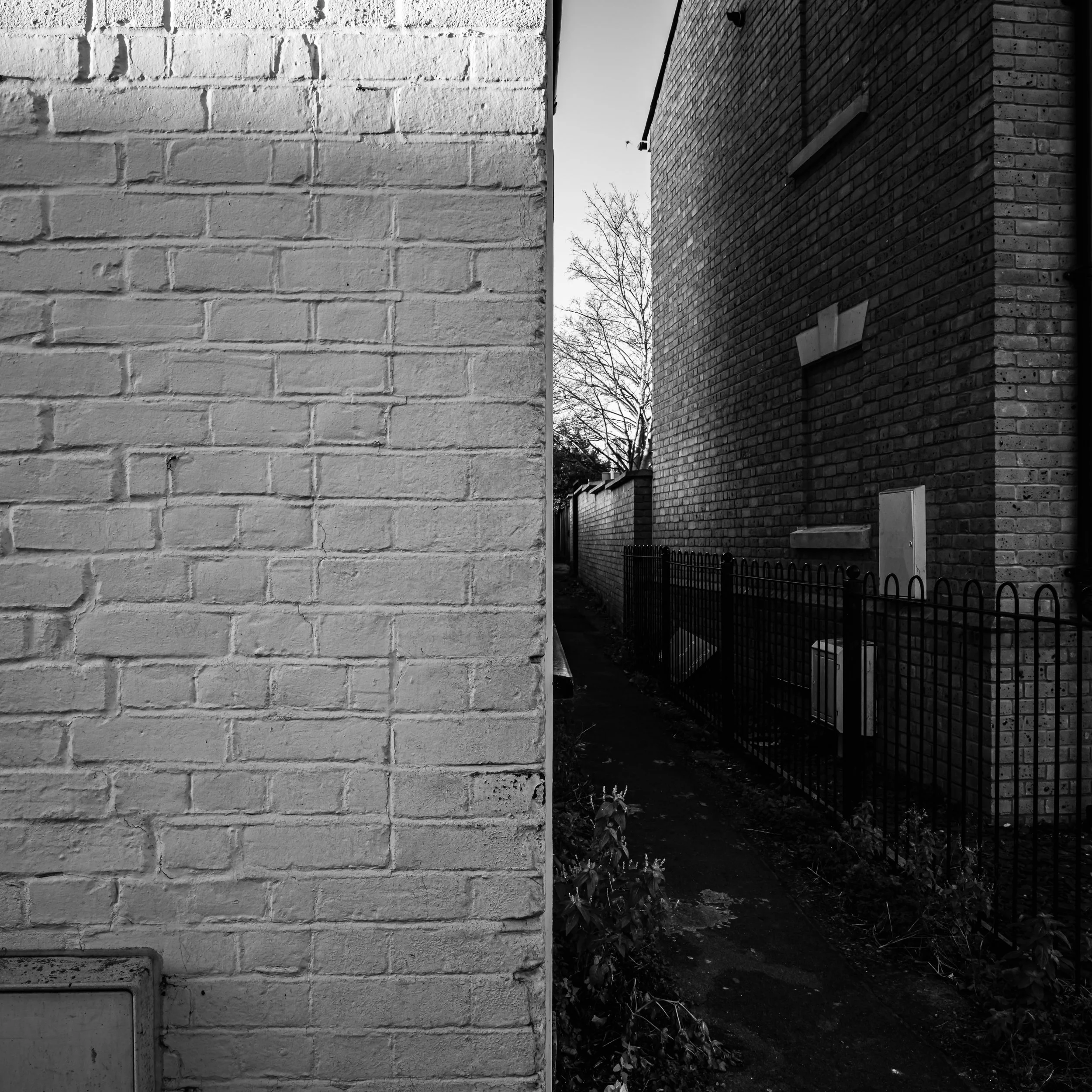 untitled-18.jpg