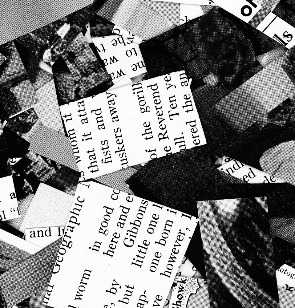 untitled-56.jpg